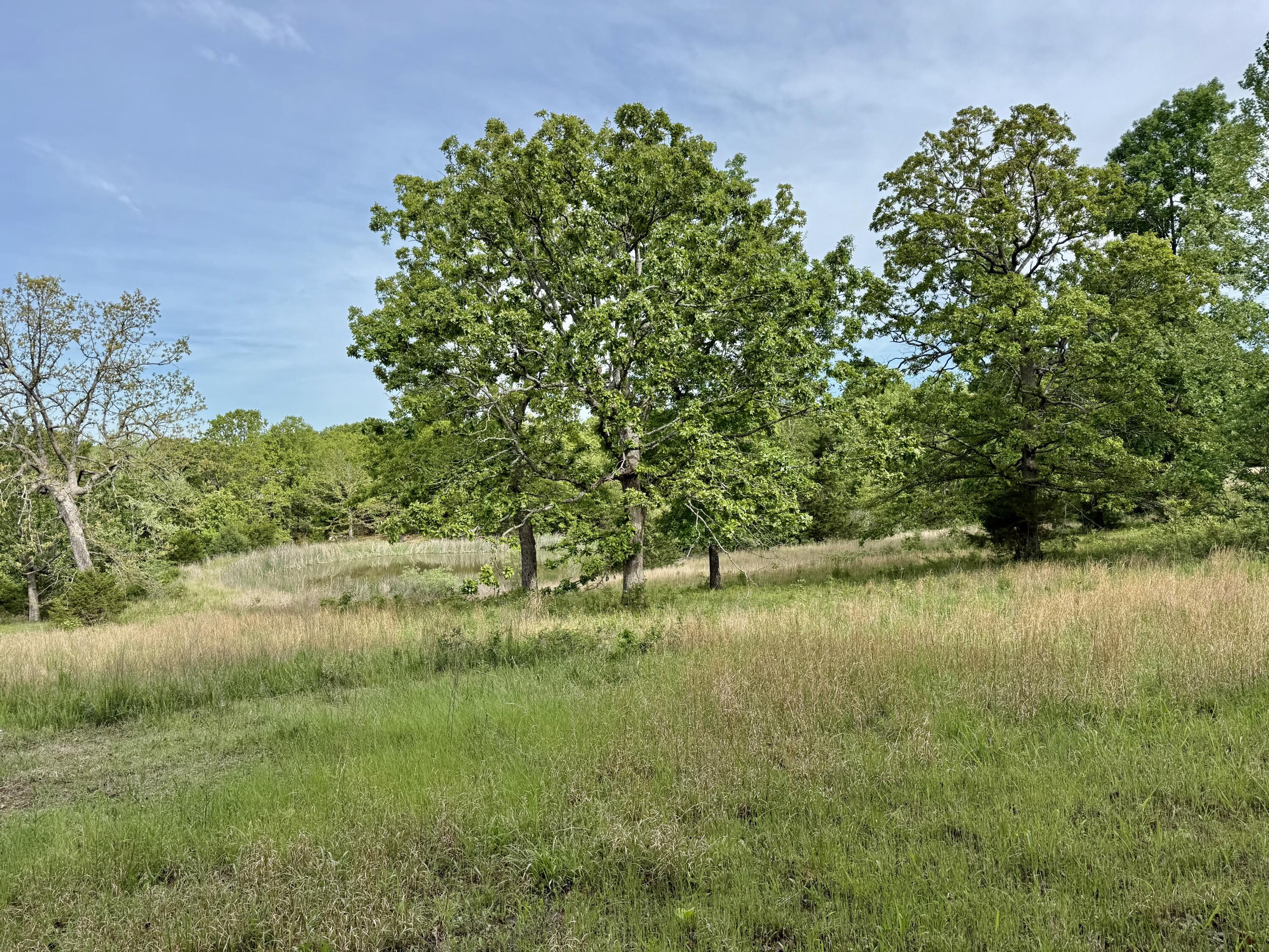 209 County Road 124 Property Photo 8