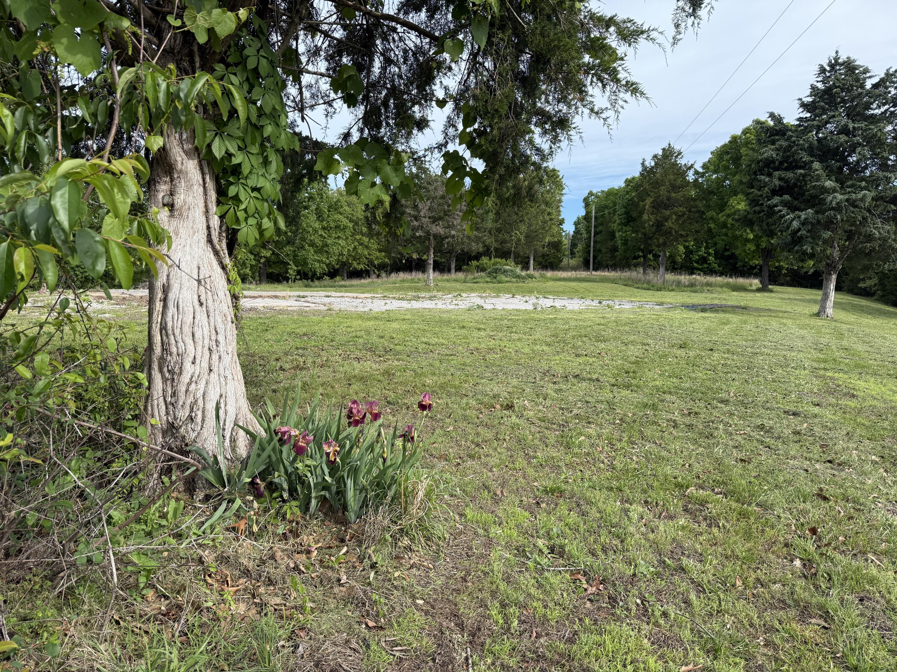 209 County Road 124 Property Photo 9