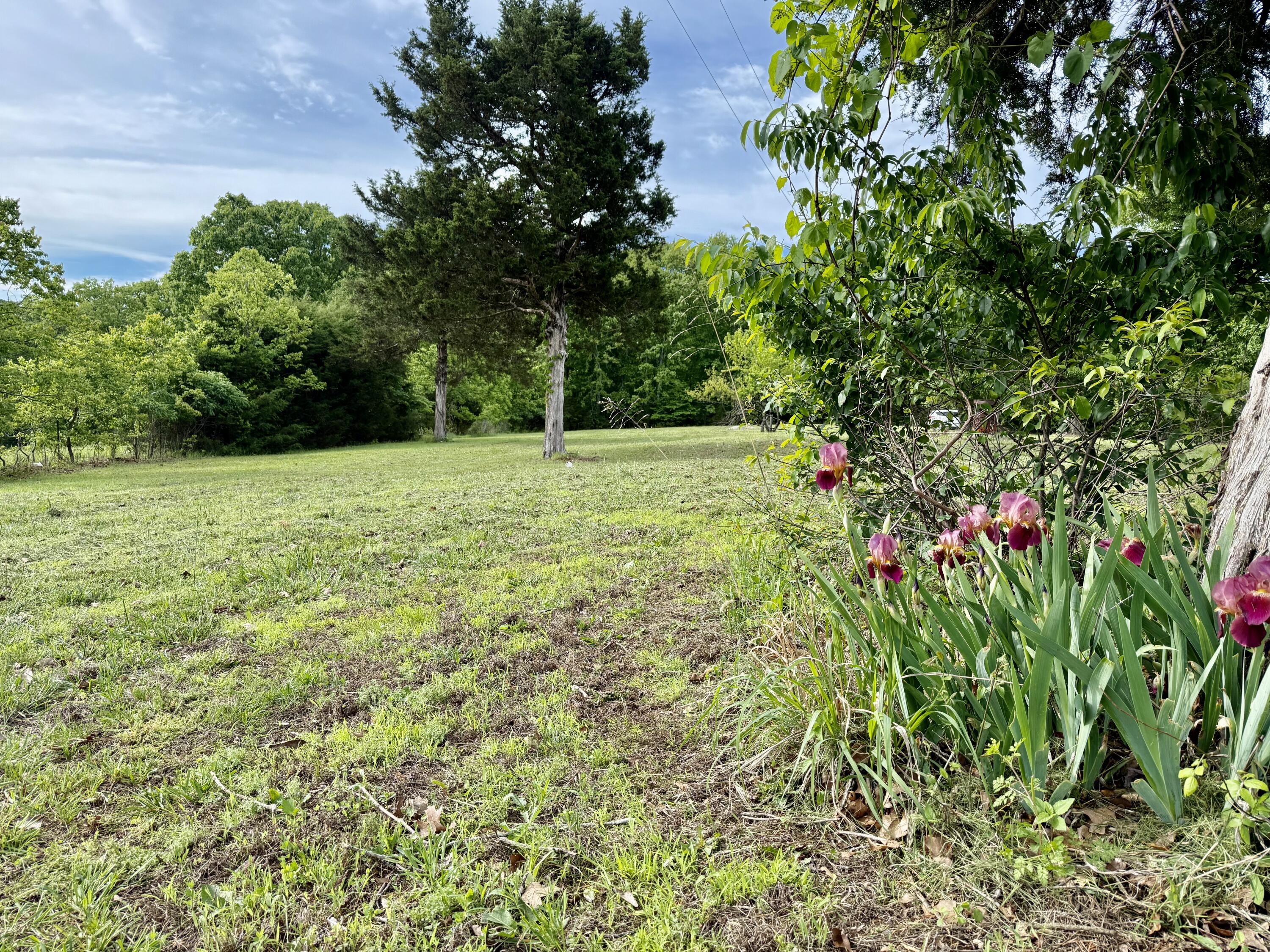 209 County Road 124 Property Photo 11