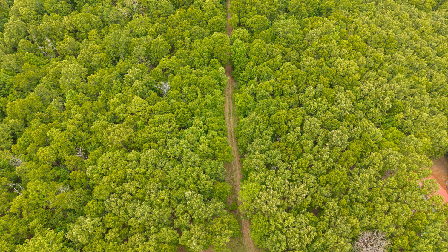 14782 County Road 7990 Property Photo 10