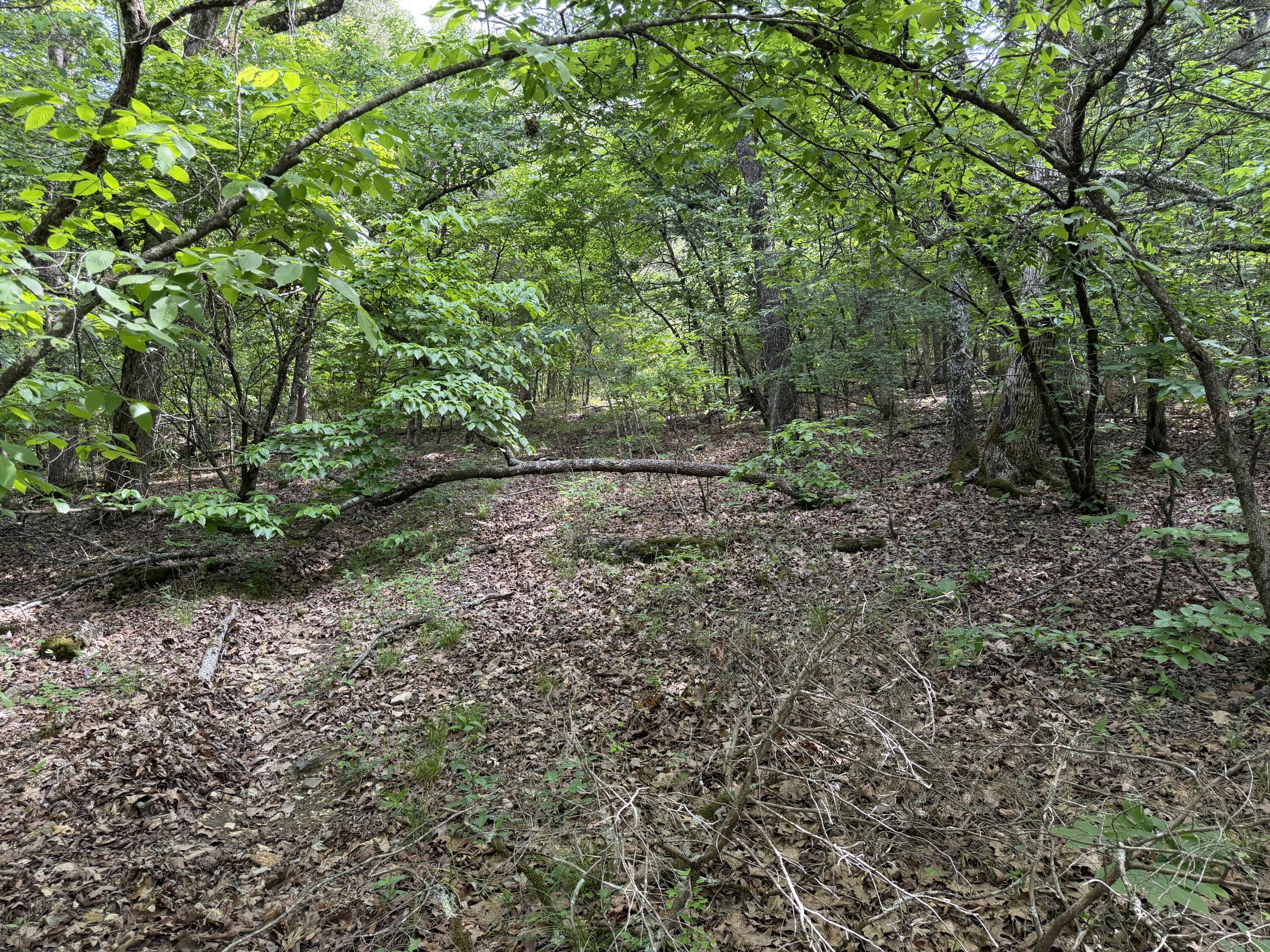 000 Moore Bend Road Property Photo 6