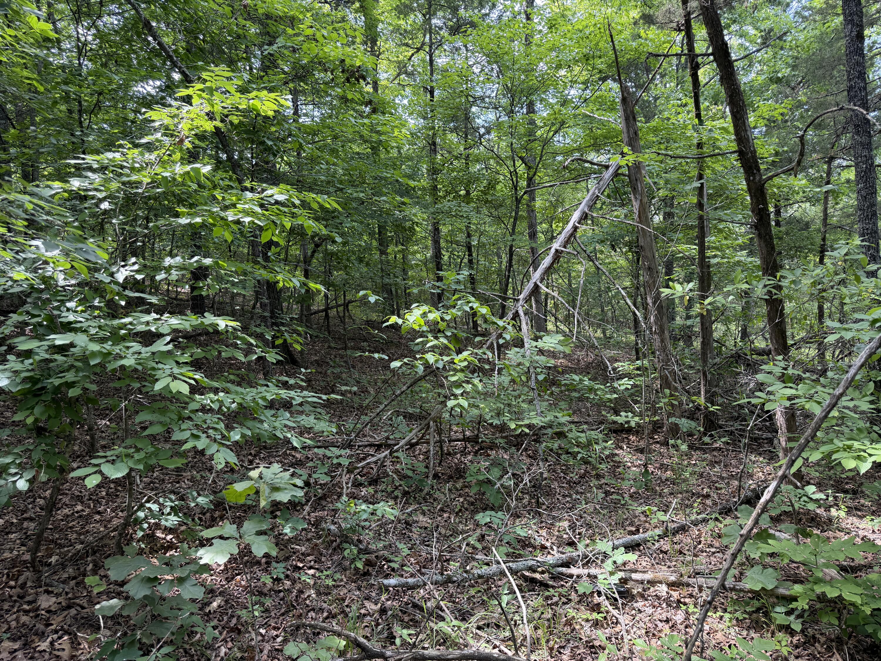 000 Moore Bend Road Property Photo 13