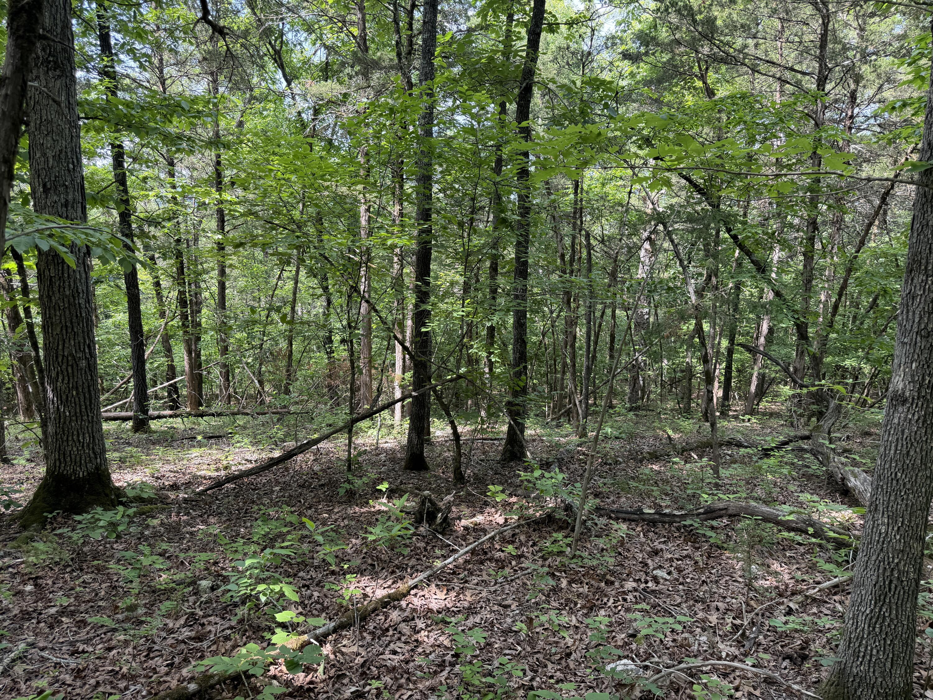 000 Moore Bend Road Property Photo 14