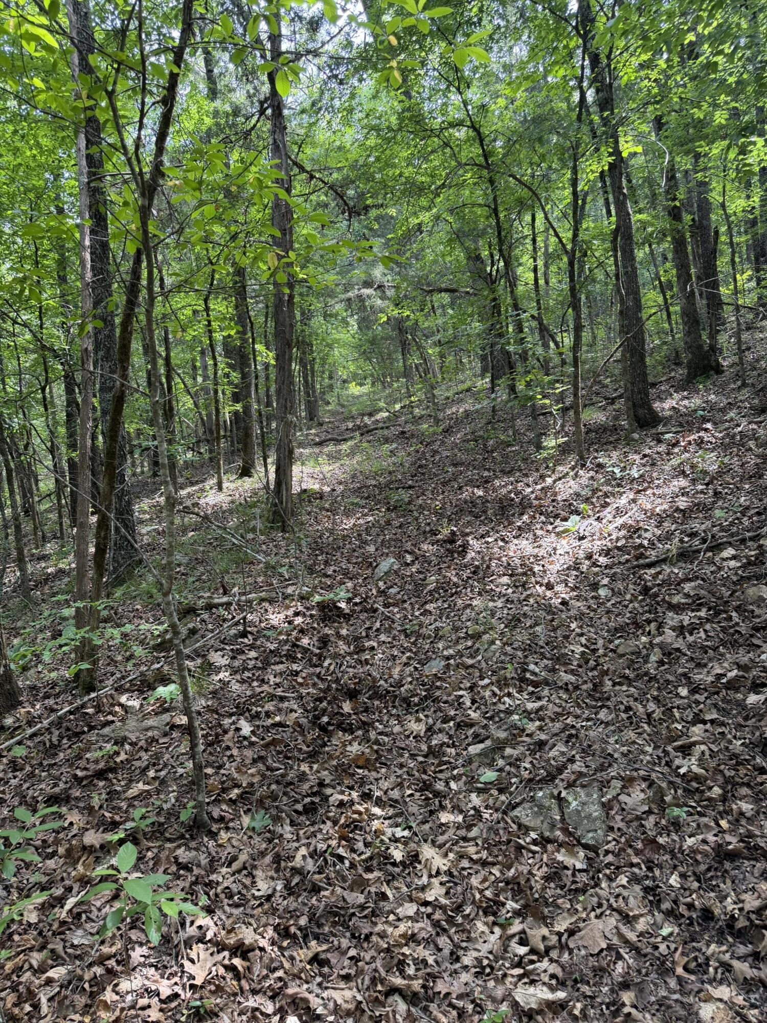 000 Moore Bend Road Property Photo 15