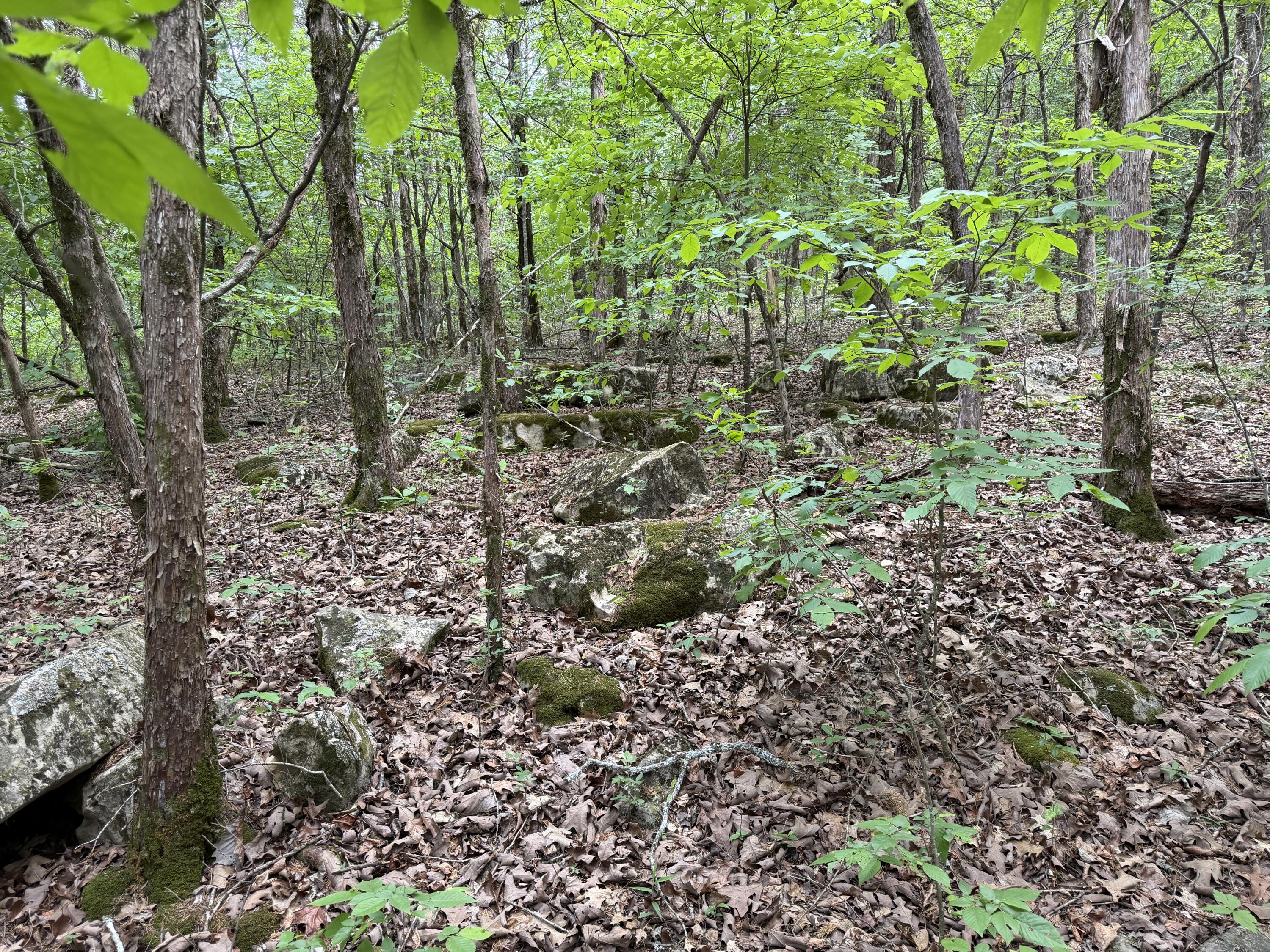 000 Moore Bend Road Property Photo 18
