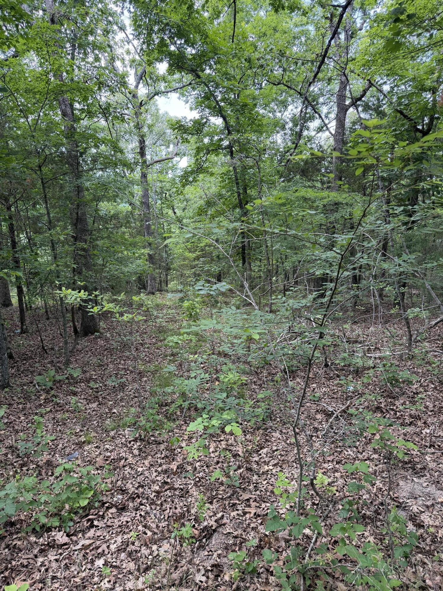 000 Moore Bend Road Property Photo 19