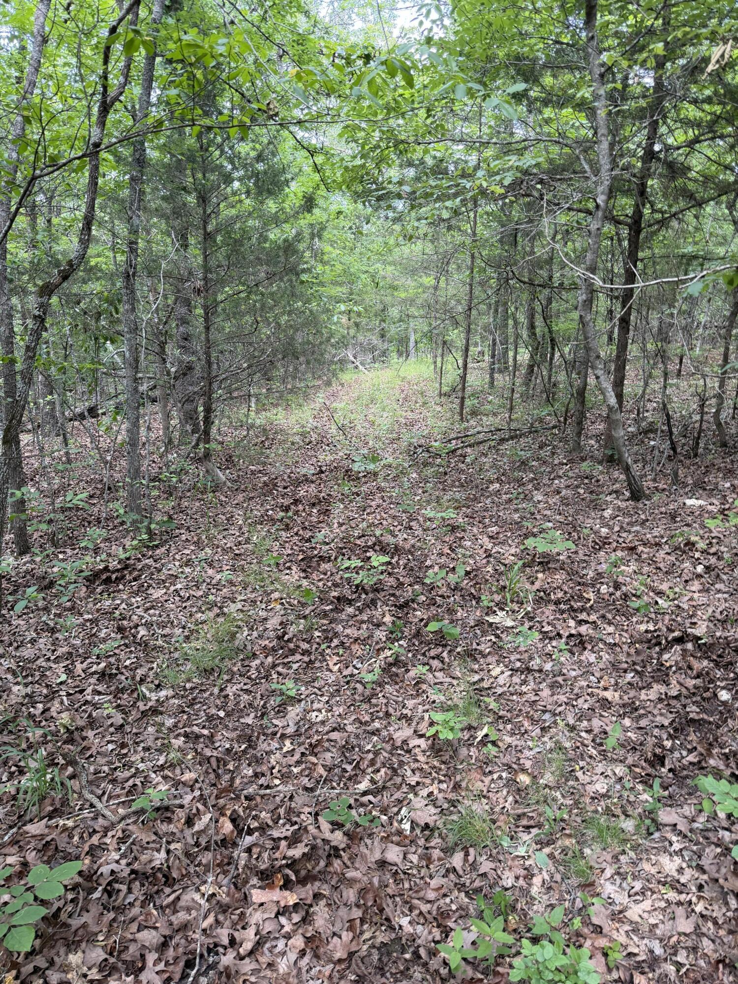 000 Moore Bend Road Property Photo 20