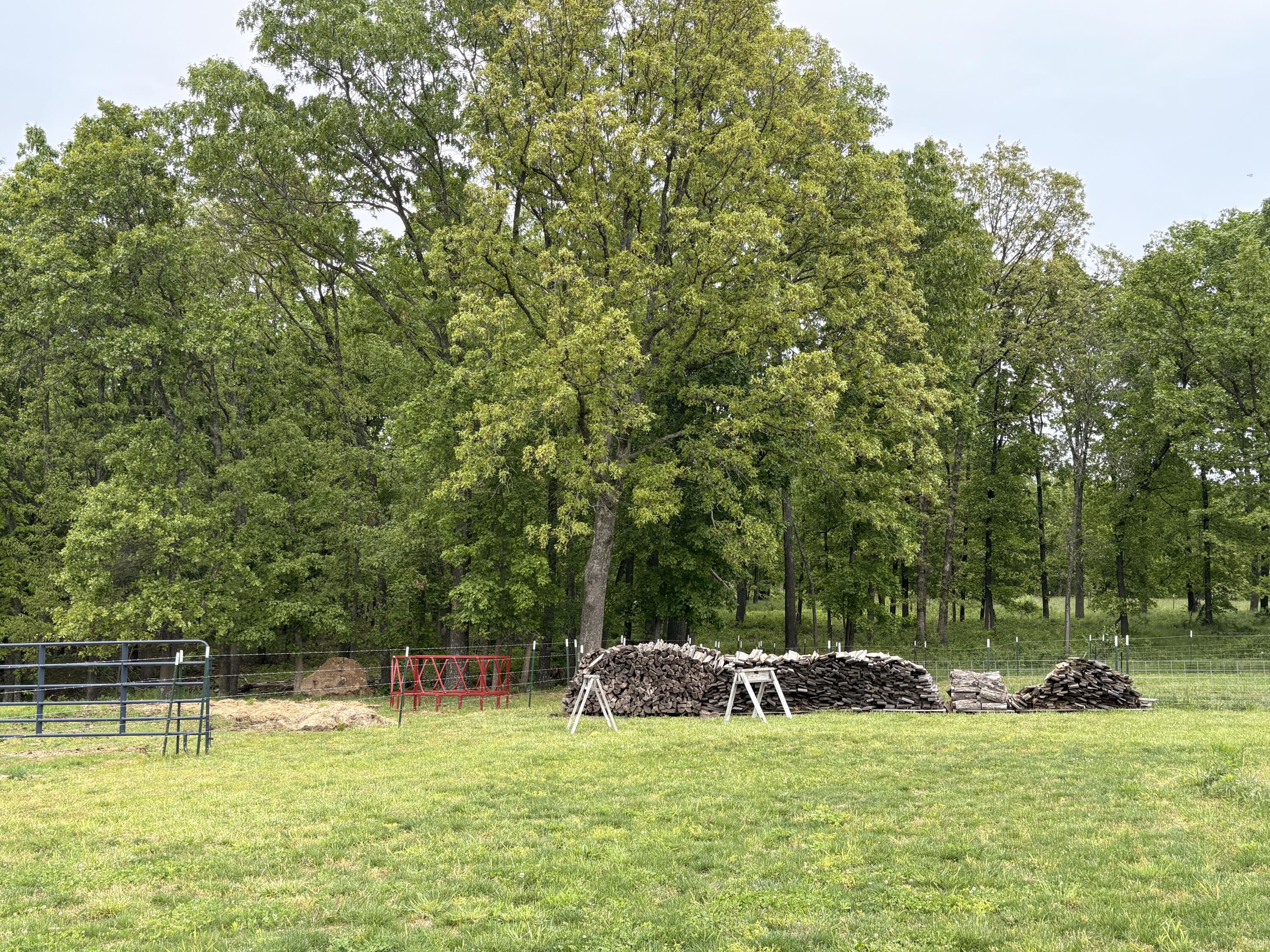 4981 Highway Mm Property Photo 78
