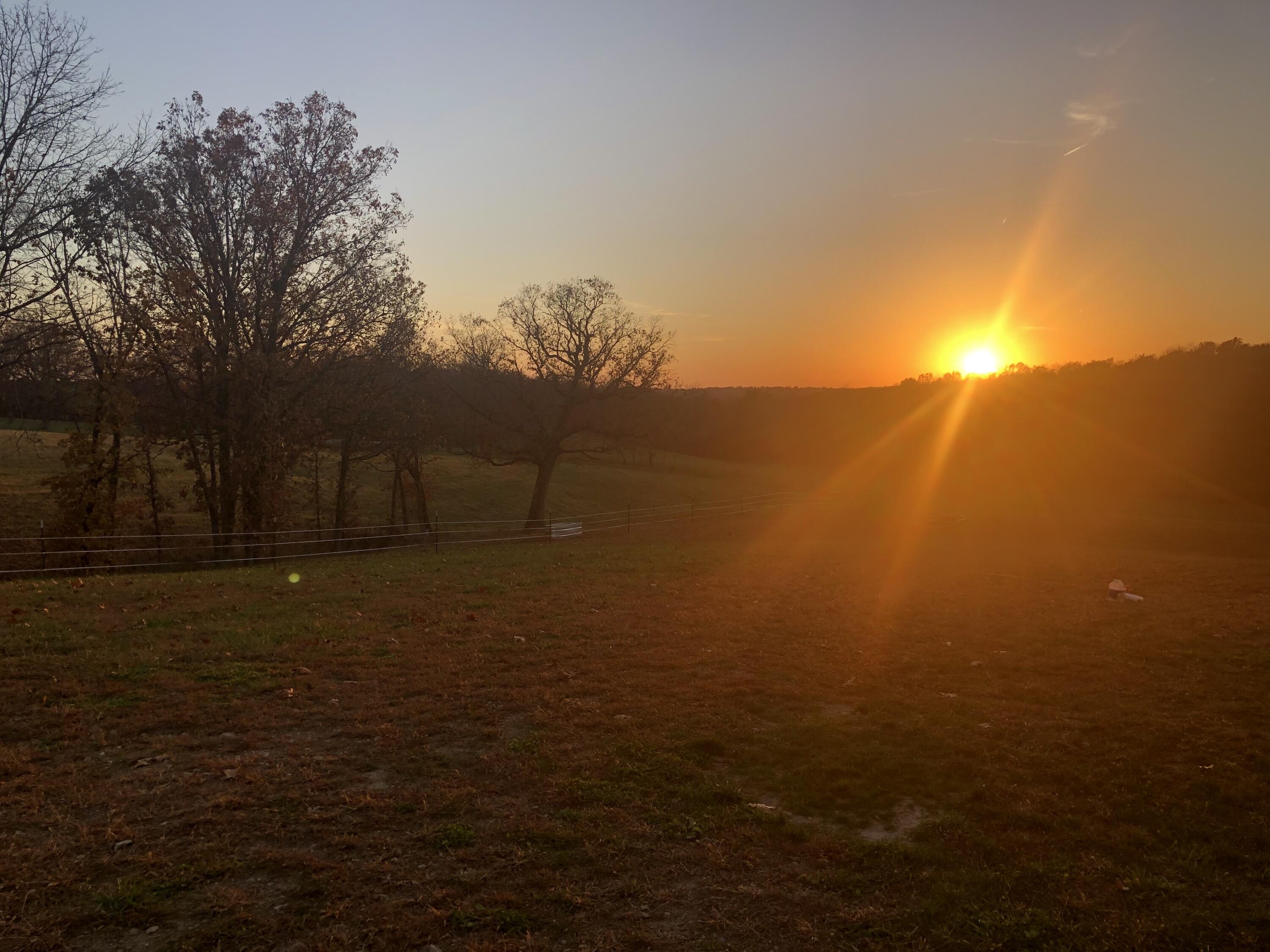 4981 Highway Mm Property Photo 83
