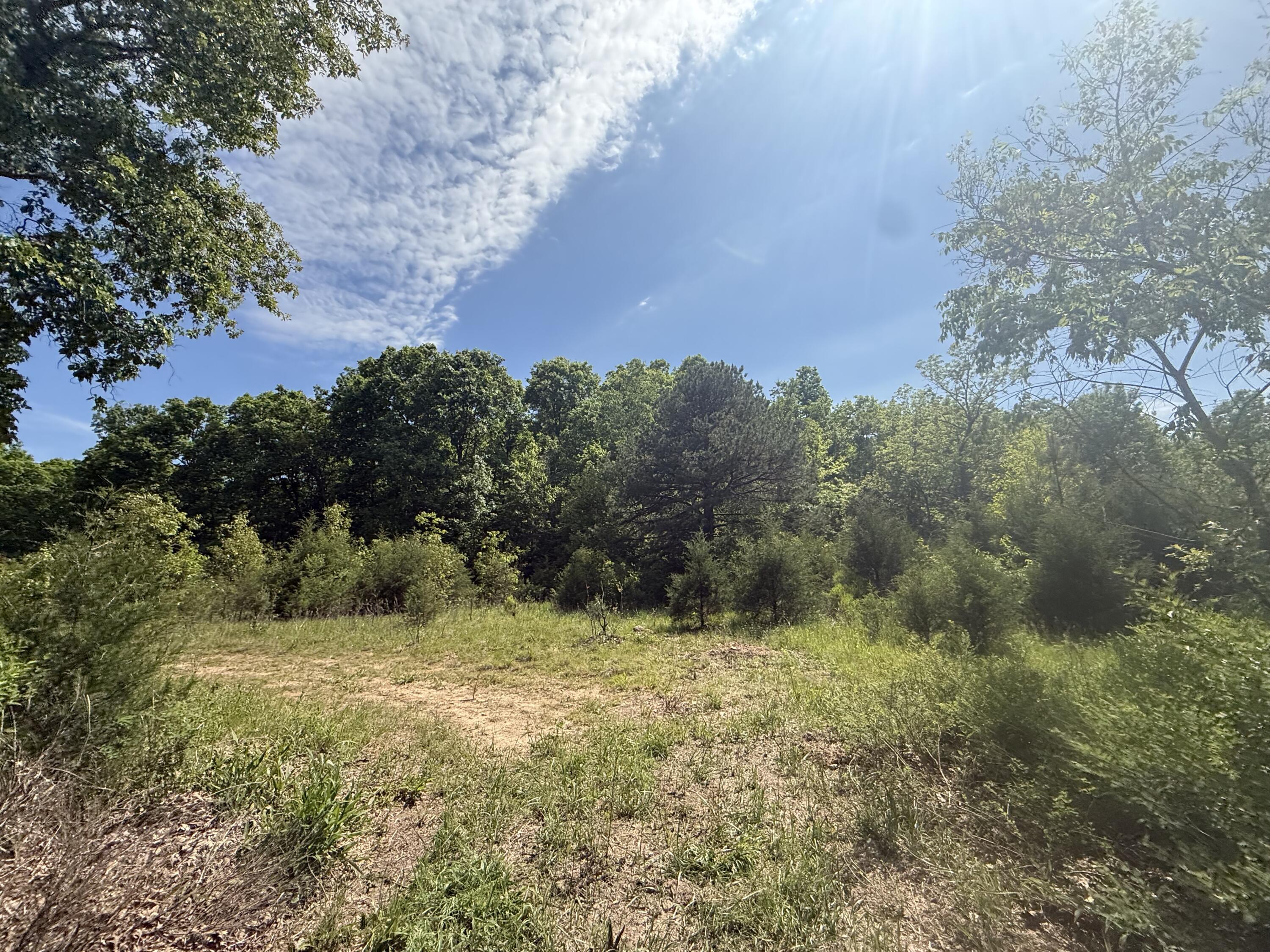 000 Bailey Road Property Photo 3