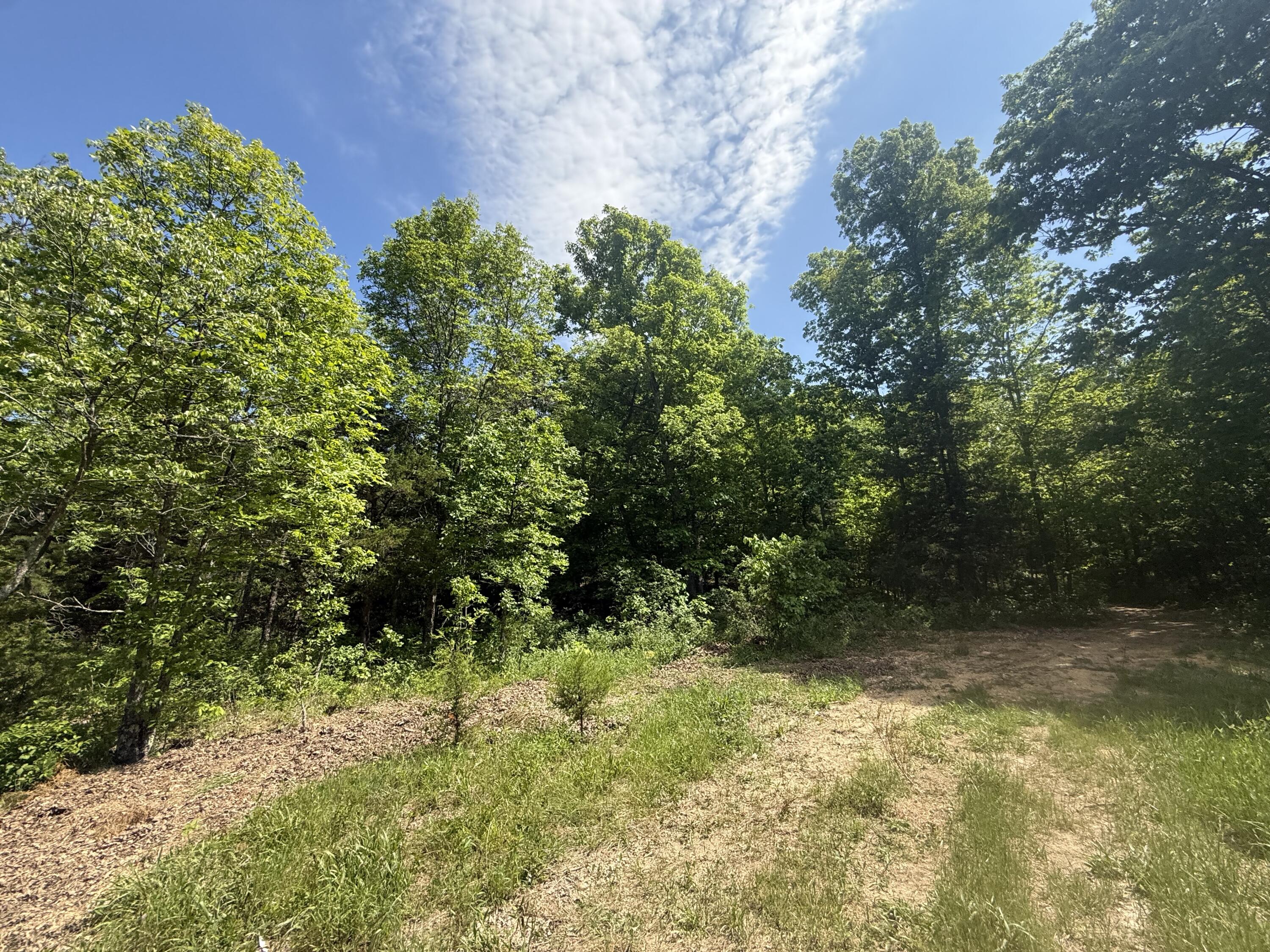 000 Bailey Road Property Photo 12