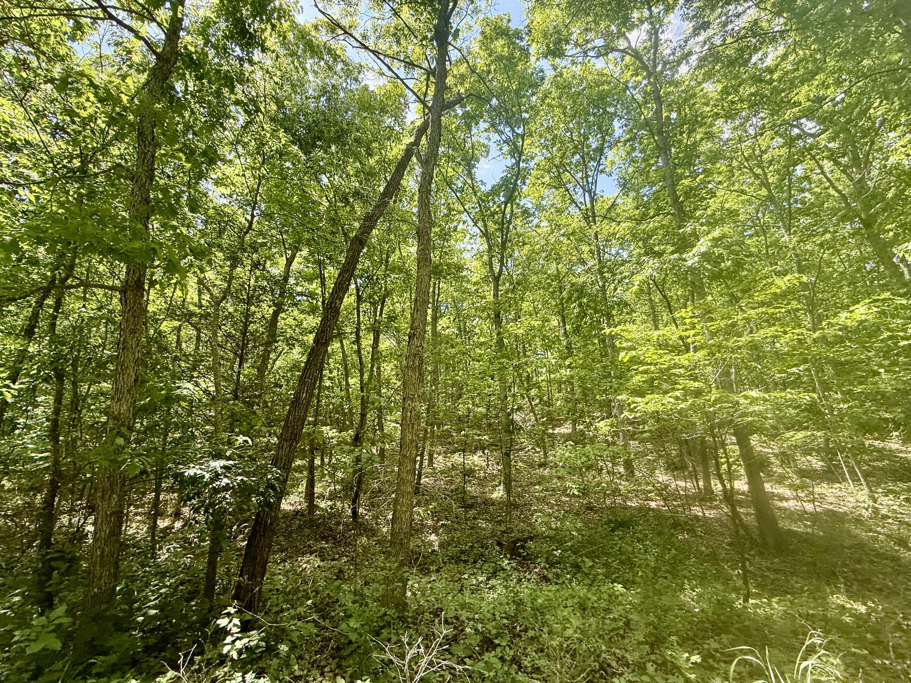 000 Bailey Road Property Photo 14