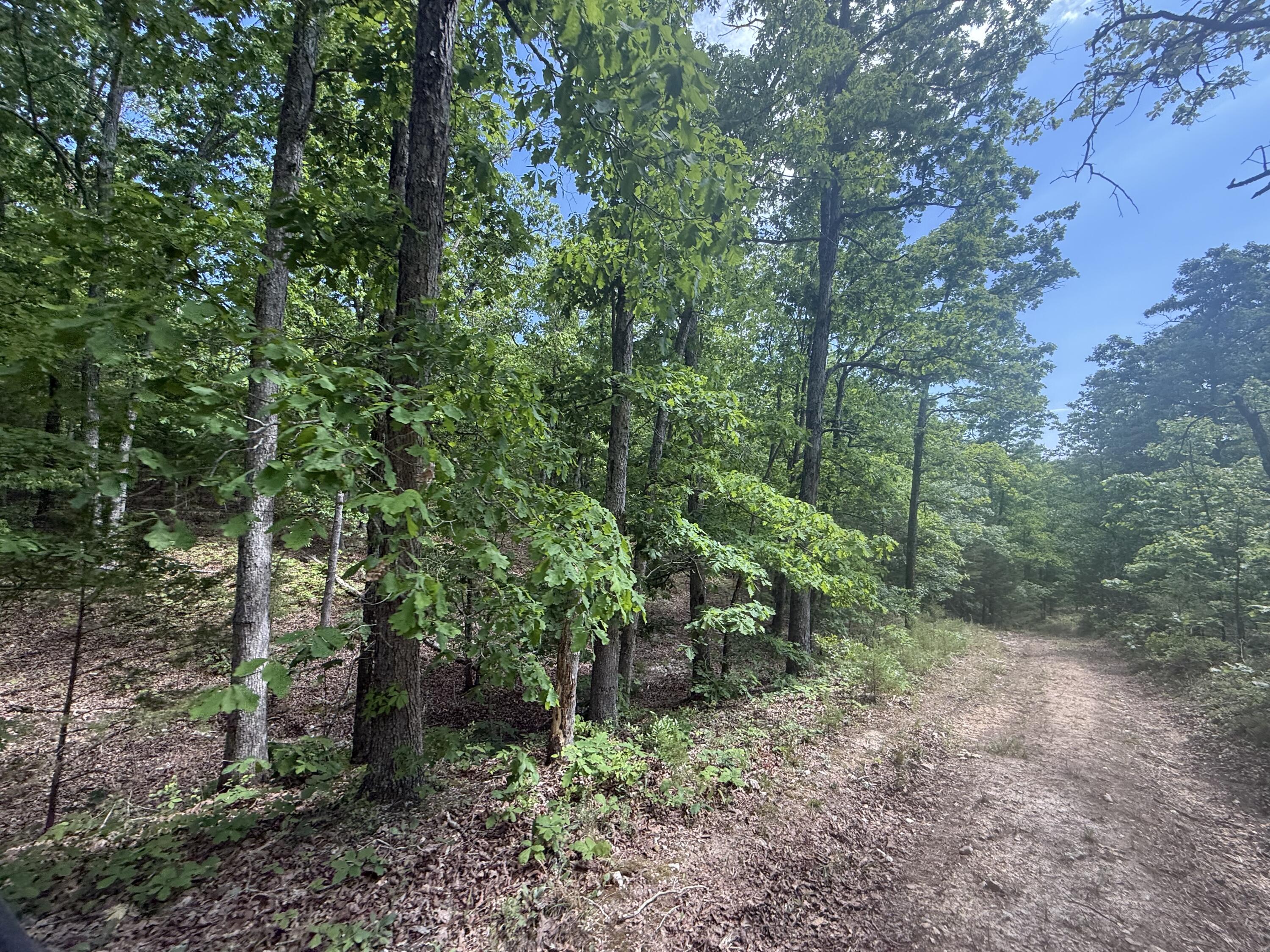 000 Bailey Road Property Photo 15
