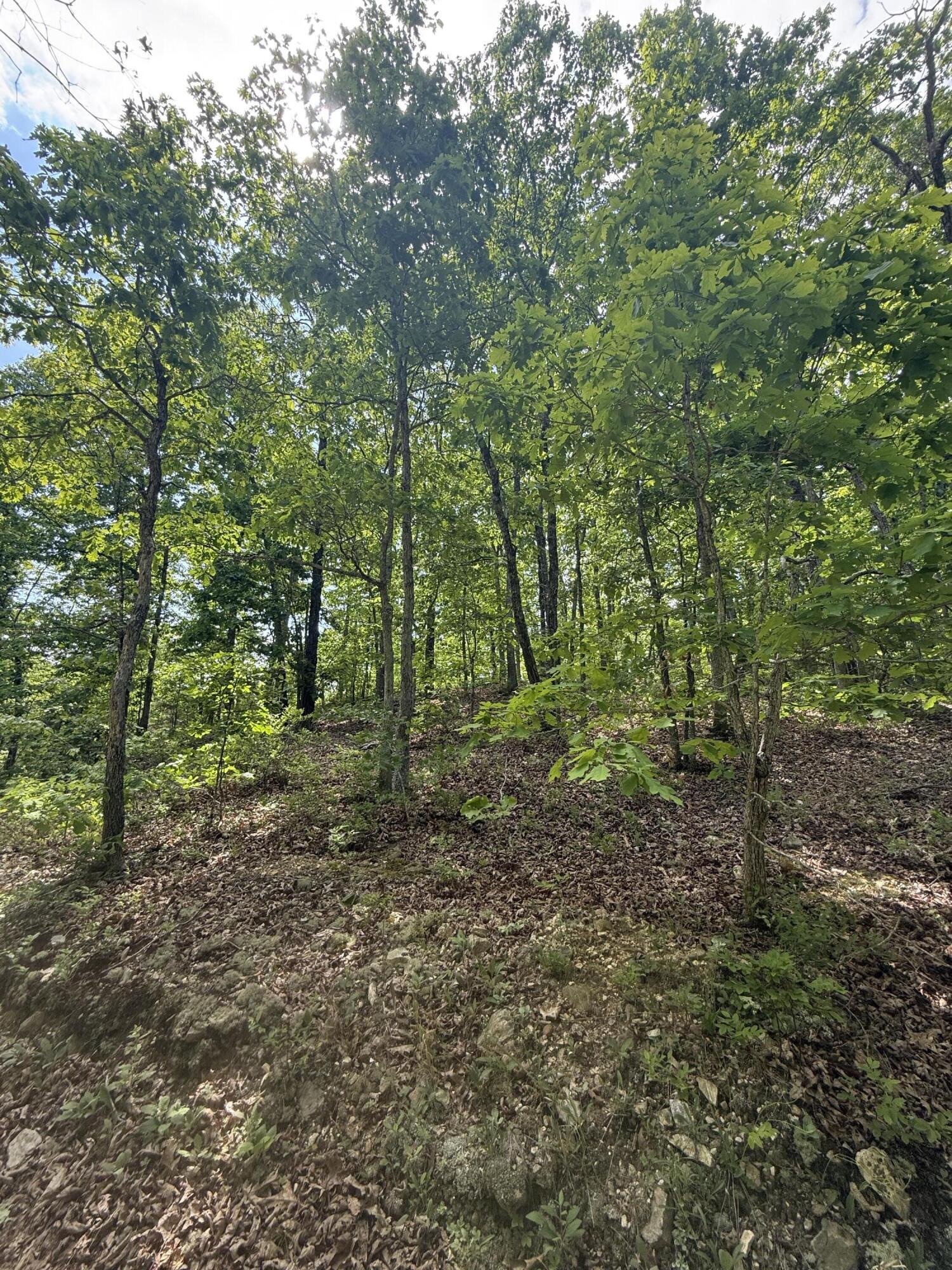 000 Bailey Road Property Photo 17