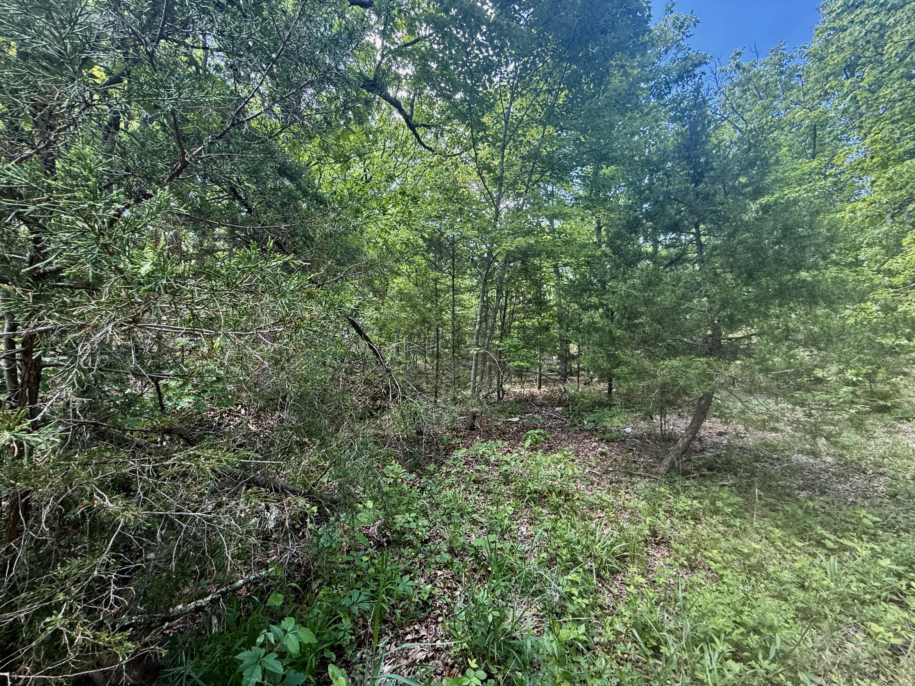 000 Bailey Road Property Photo 18