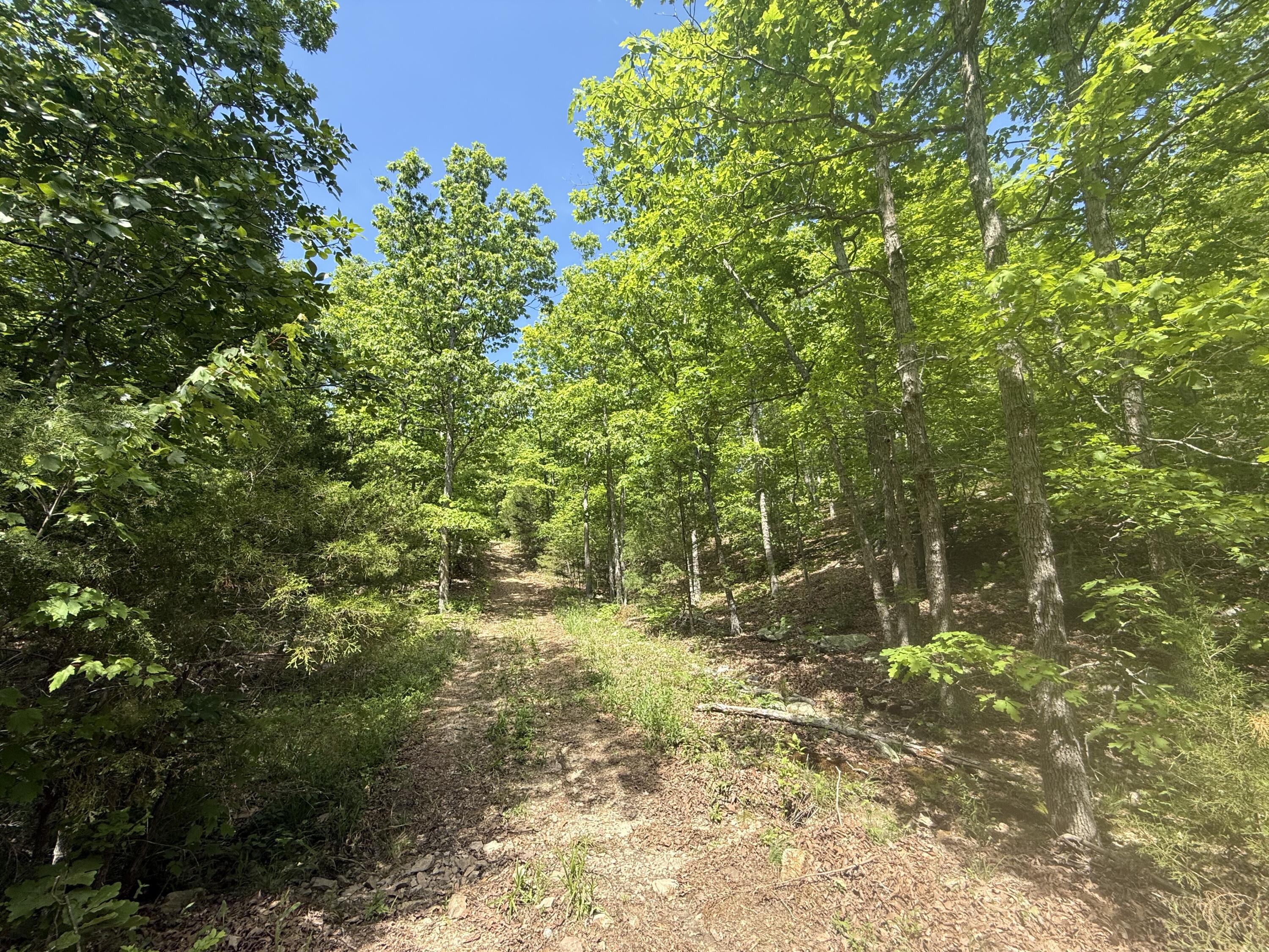 000 Bailey Road Property Photo 19