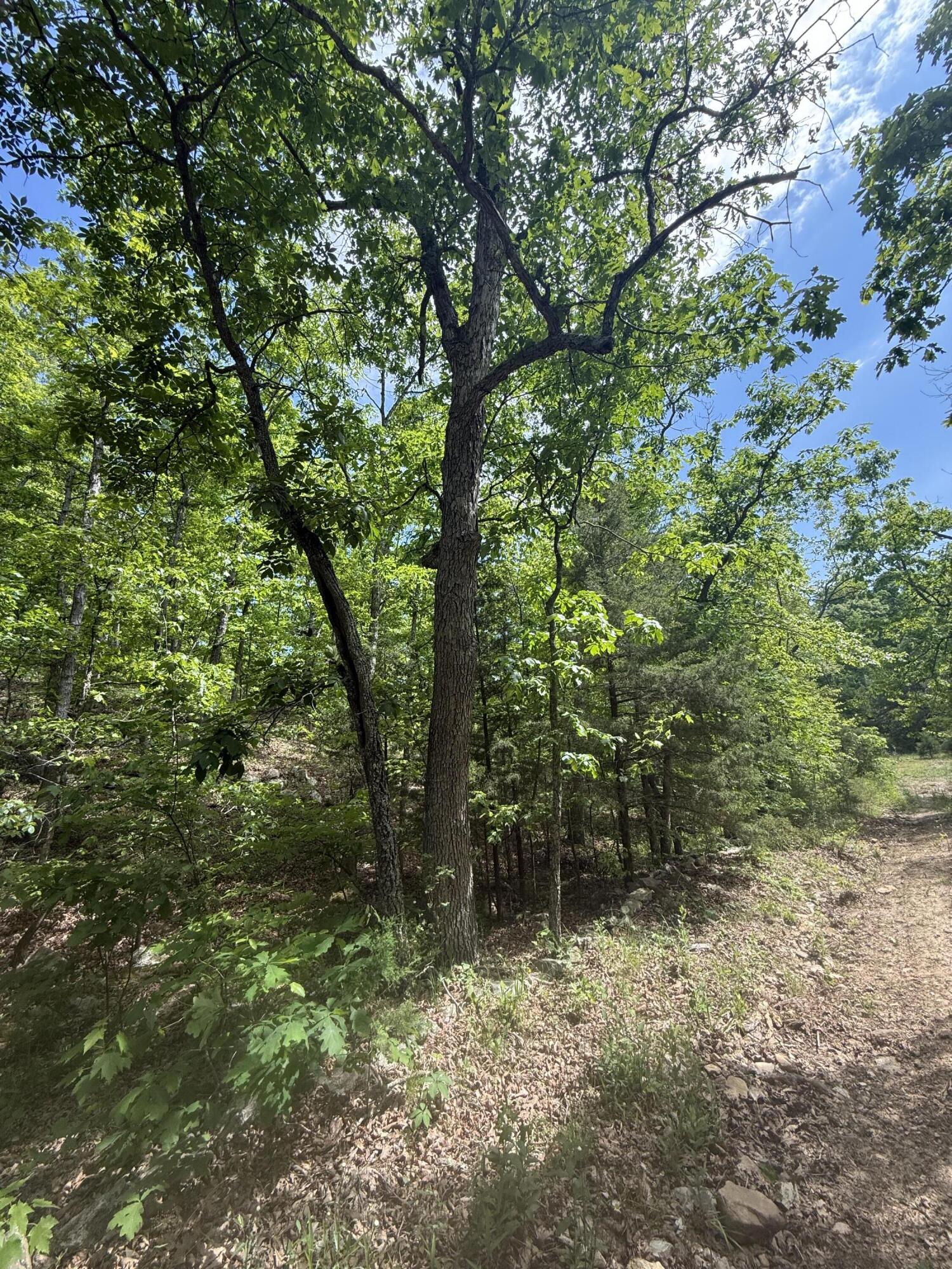 000 Bailey Road Property Photo 20