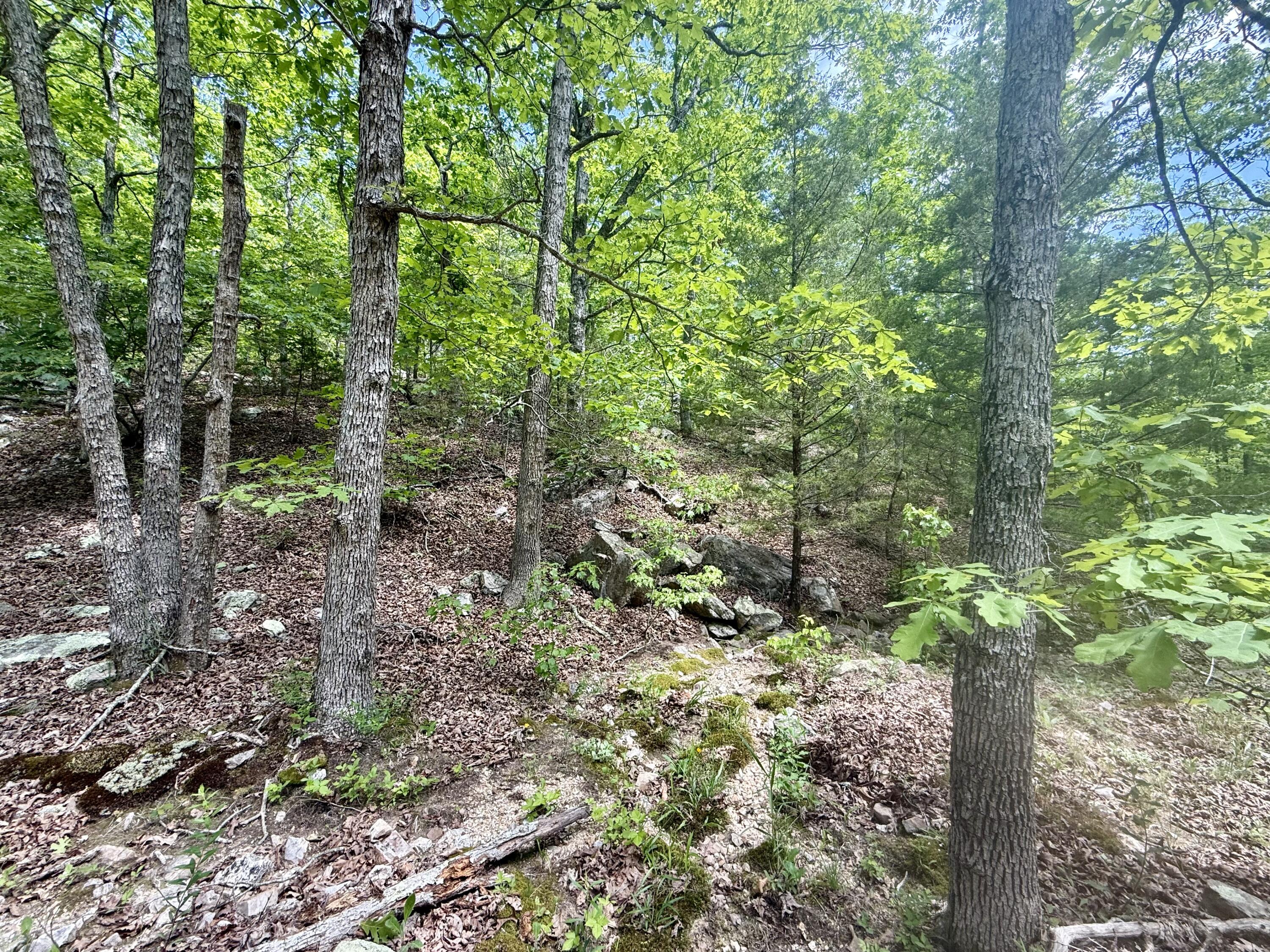 000 Bailey Road Property Photo 24
