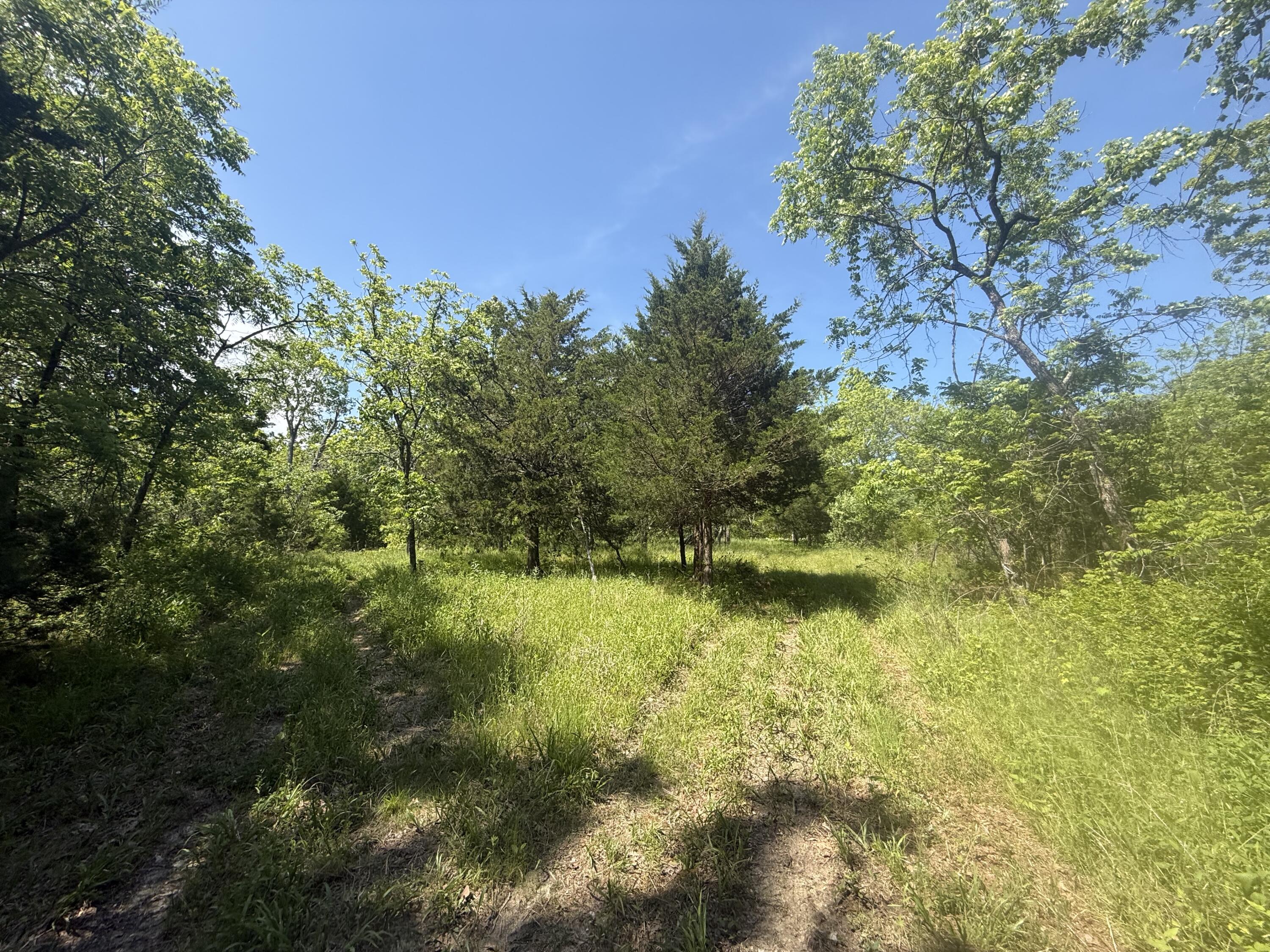 000 Bailey Road Property Photo 28