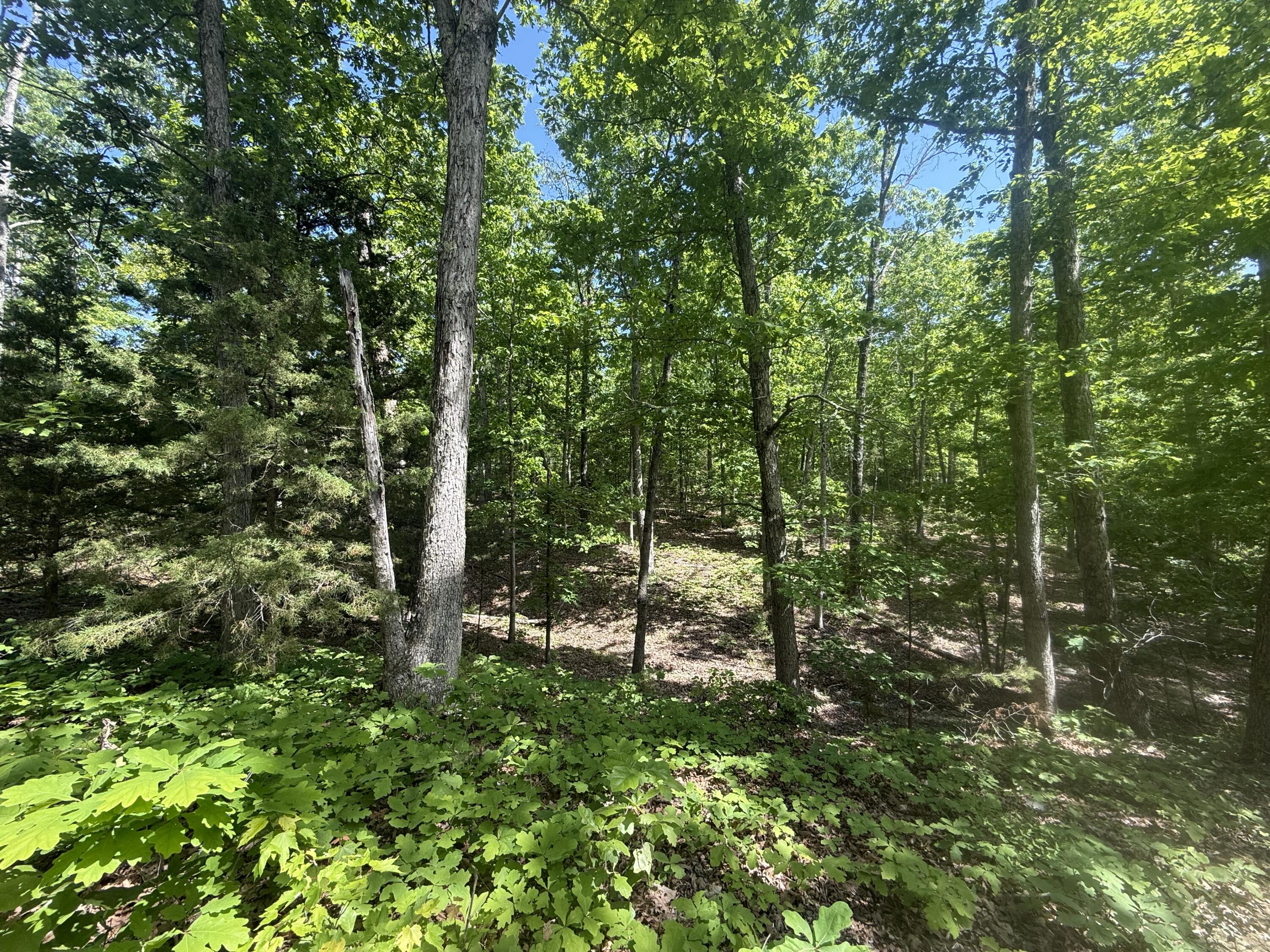 000 Bailey Road Property Photo 29