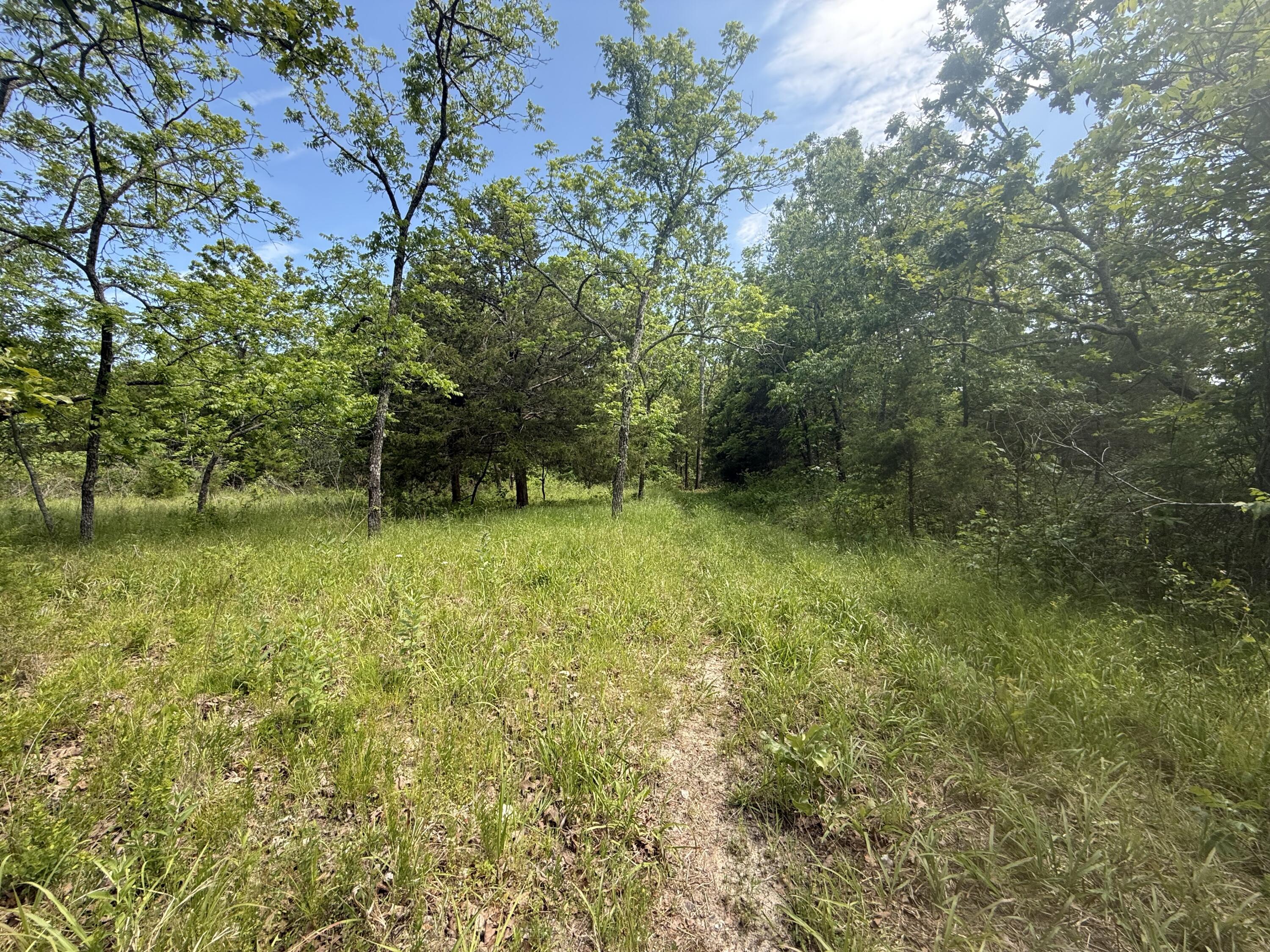 000 Bailey Road Property Photo 30