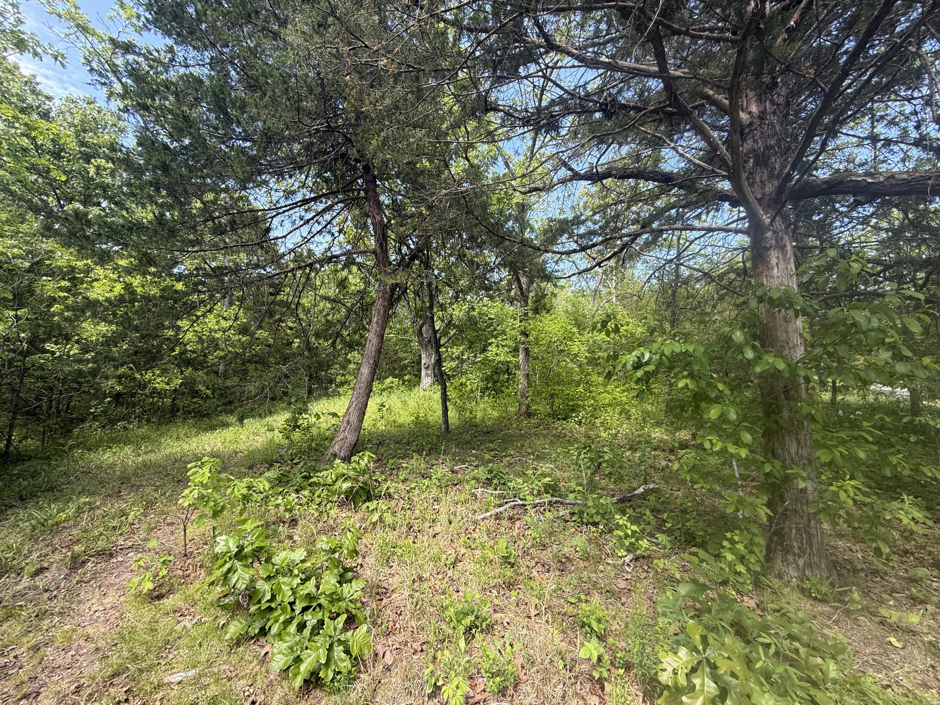 000 Bailey Road Property Photo 32