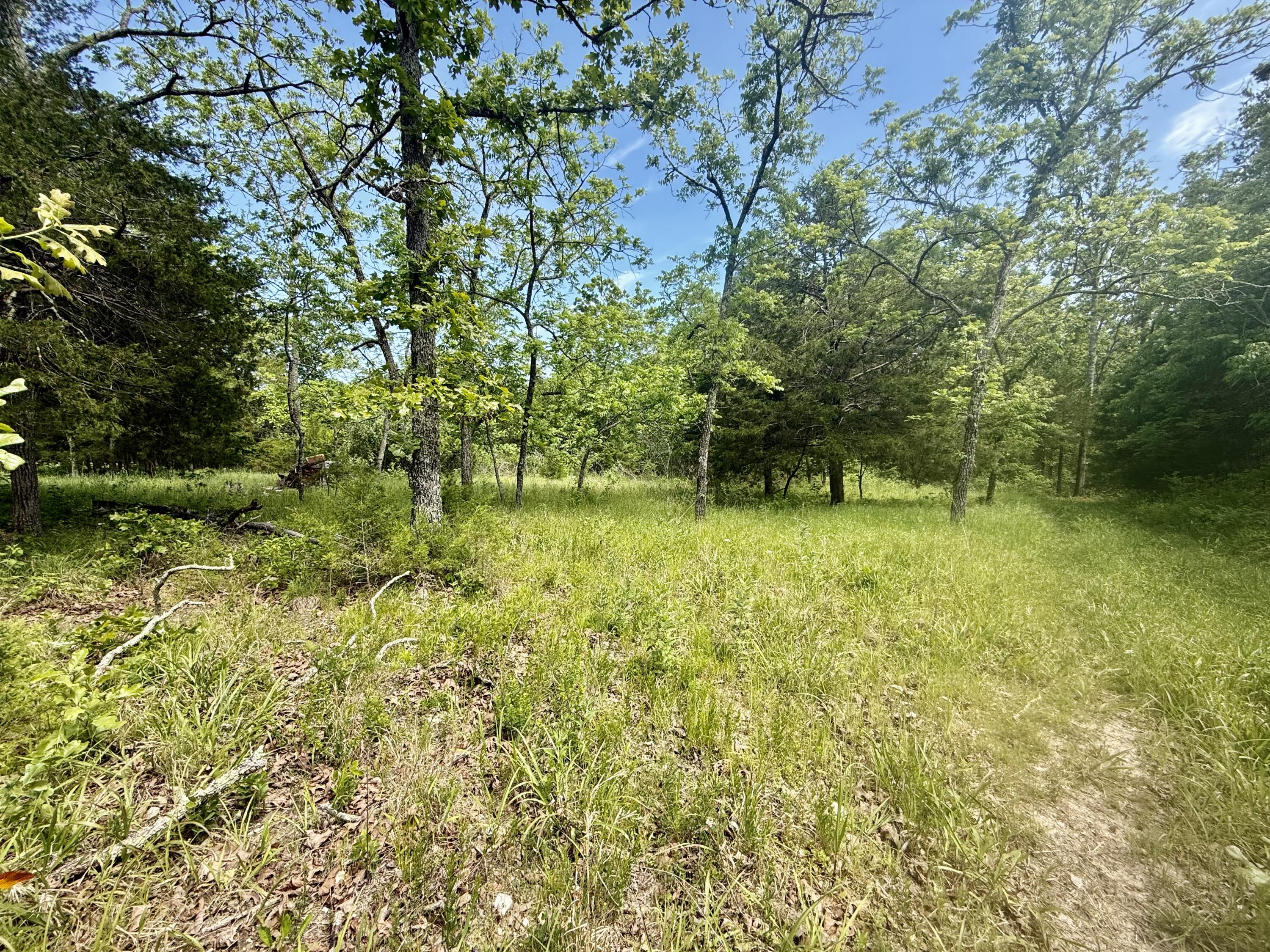 000 Bailey Road Property Photo 33