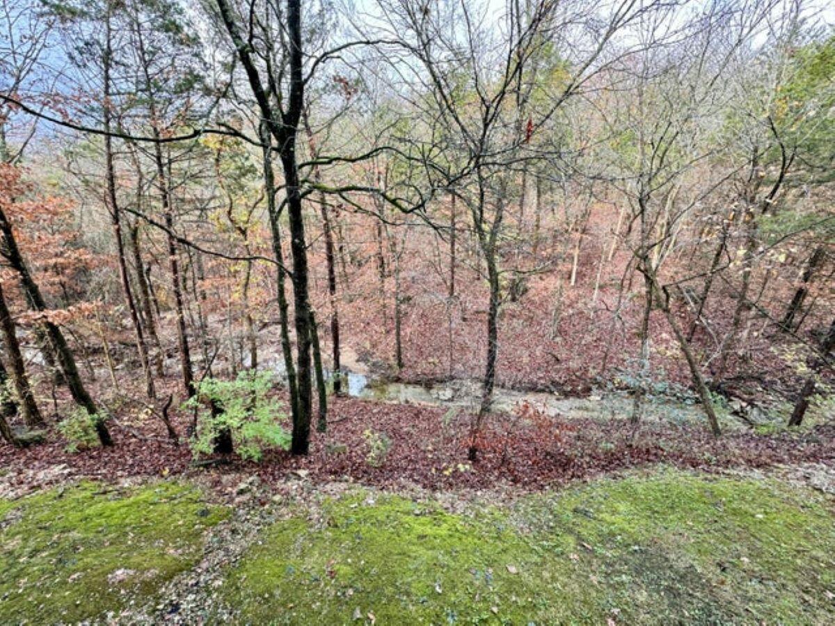 525 Valley View Road 301 Property Photo 49