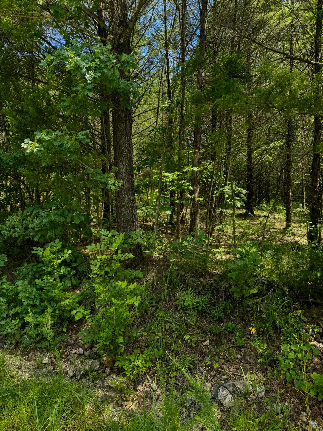 000 Falling Rock Road Property Photo 1