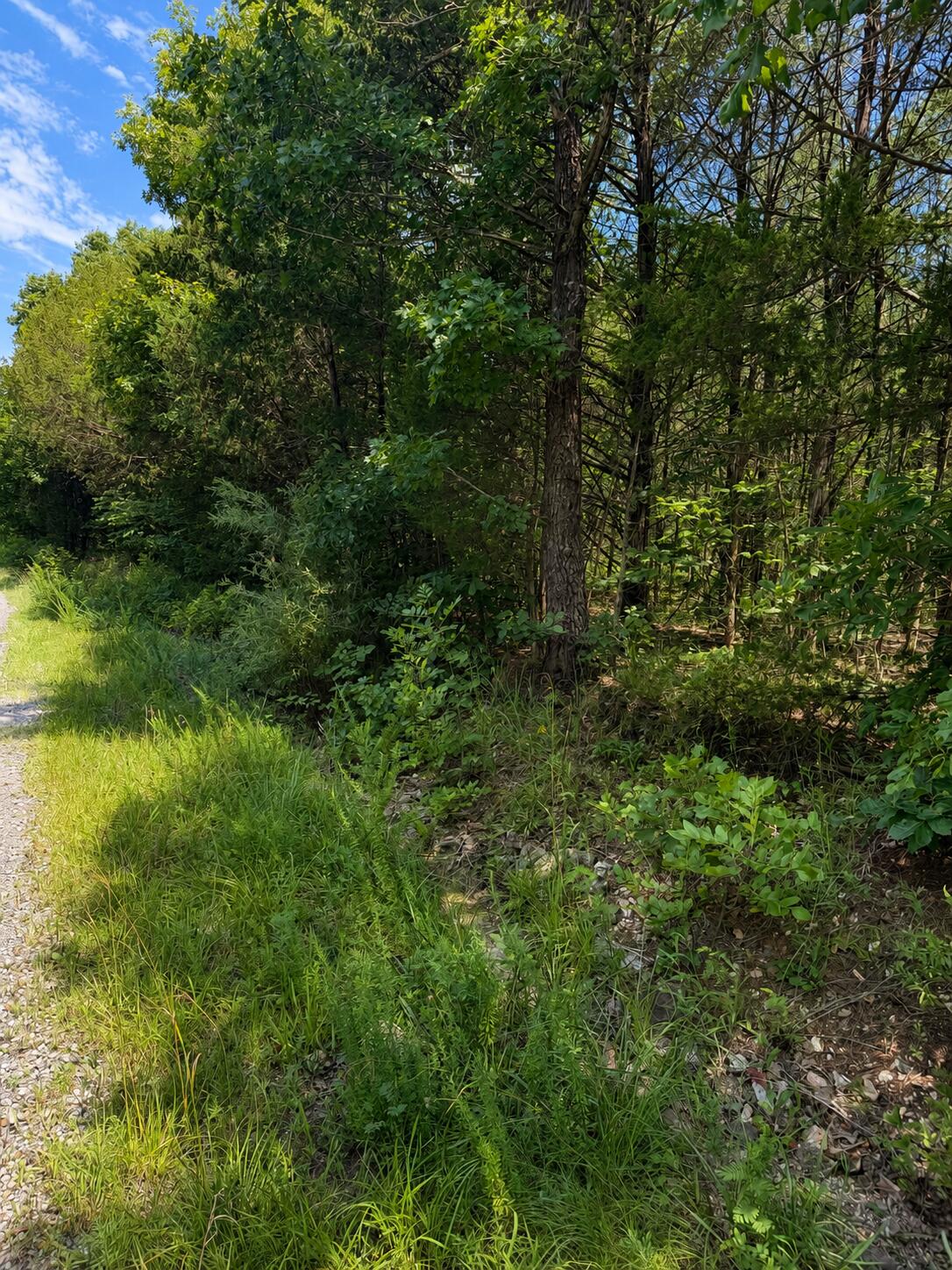 000 Falling Rock Road Property Photo 2