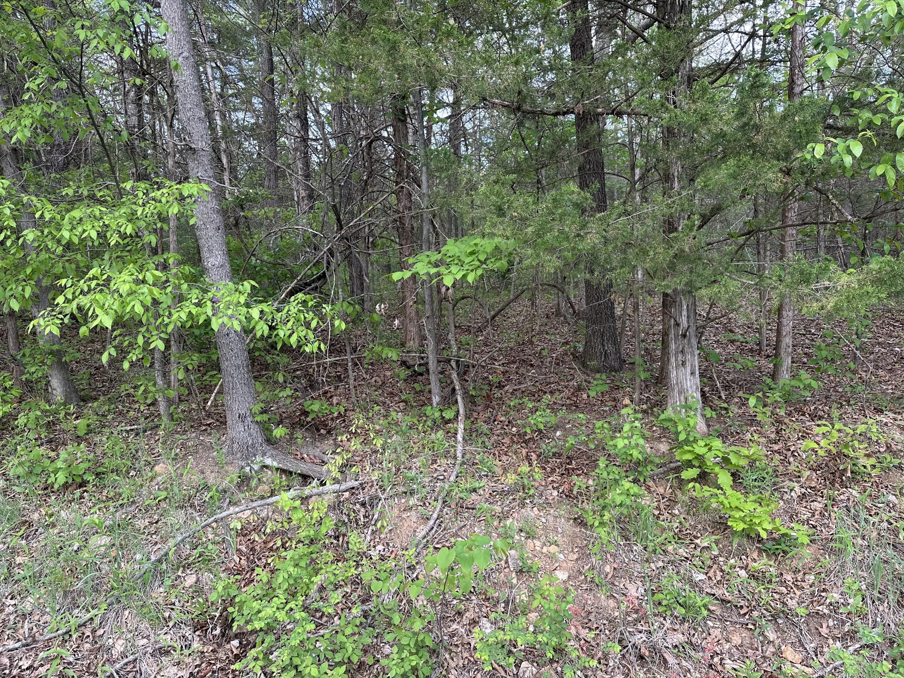 000 Falling Rock Road Property Photo 3