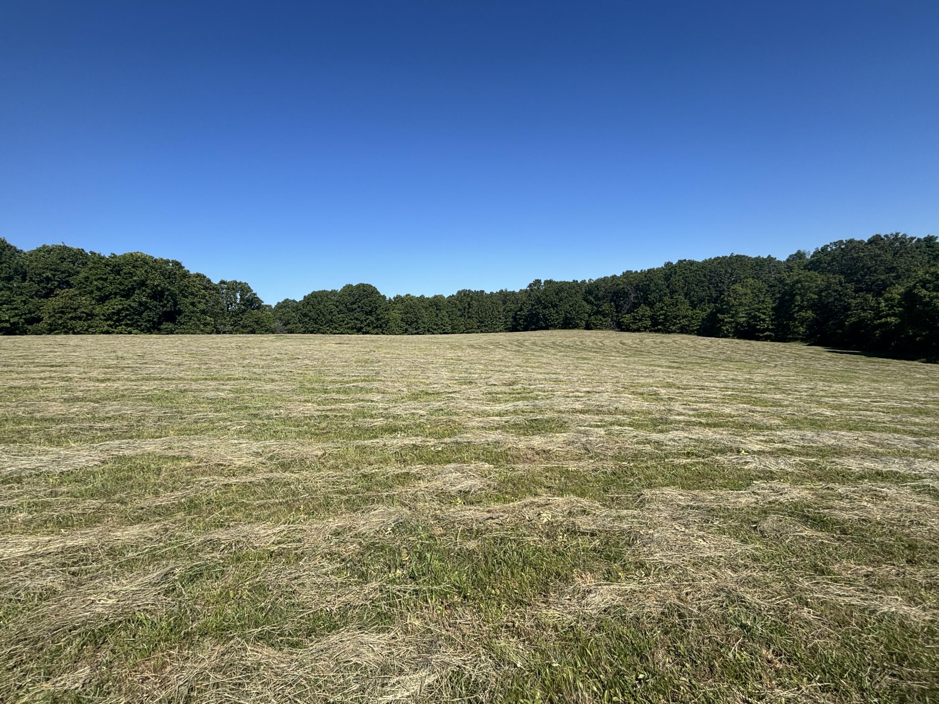 85 Horse Gate Trail Property Photo 27