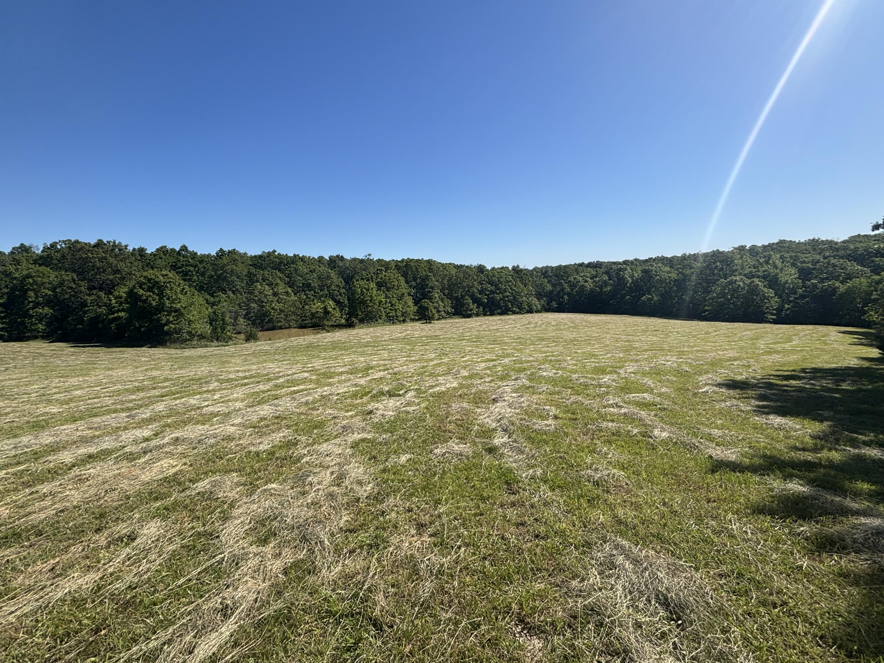 85 Horse Gate Trail Property Photo 28