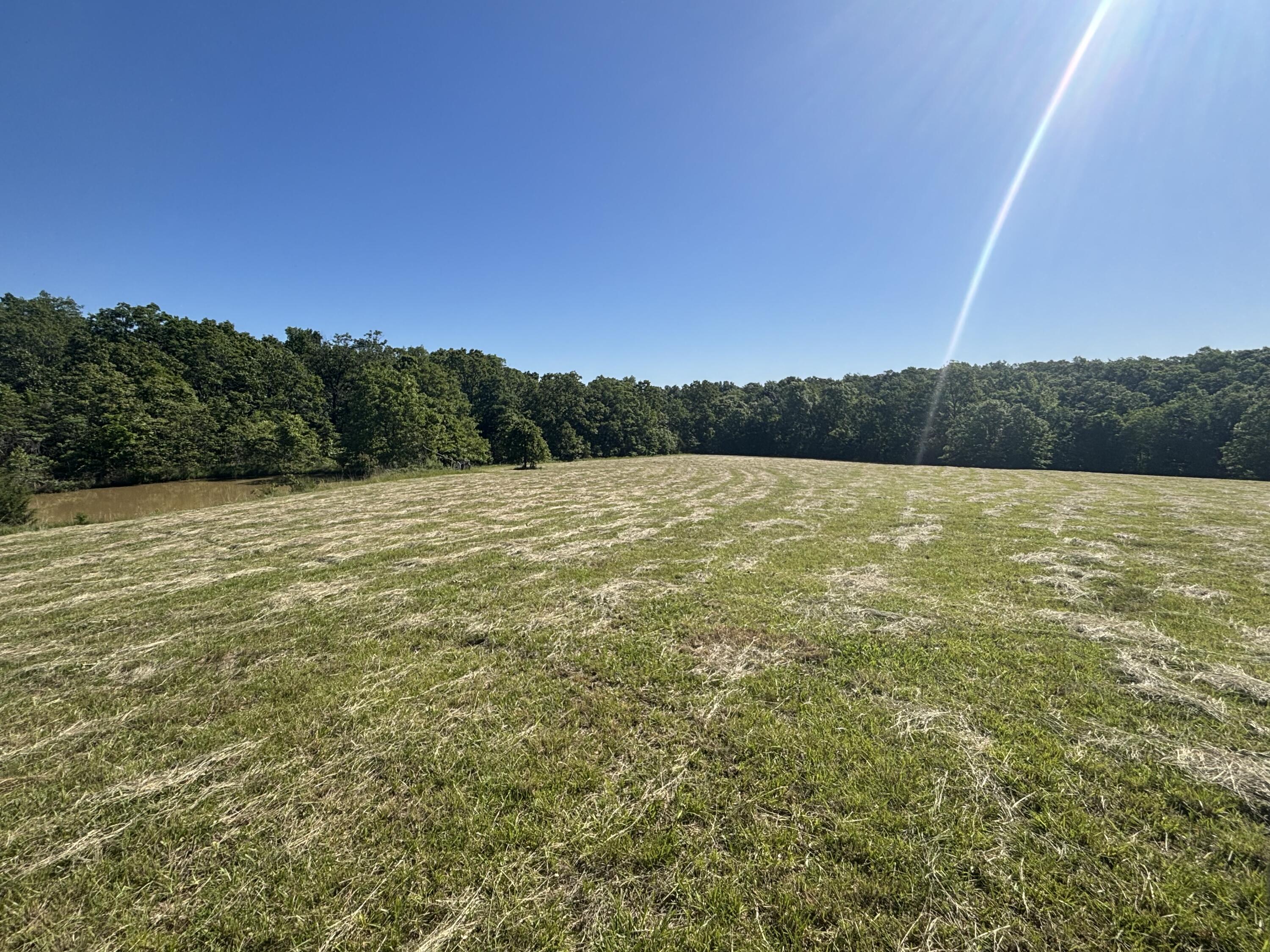 85 Horse Gate Trail Property Photo 29
