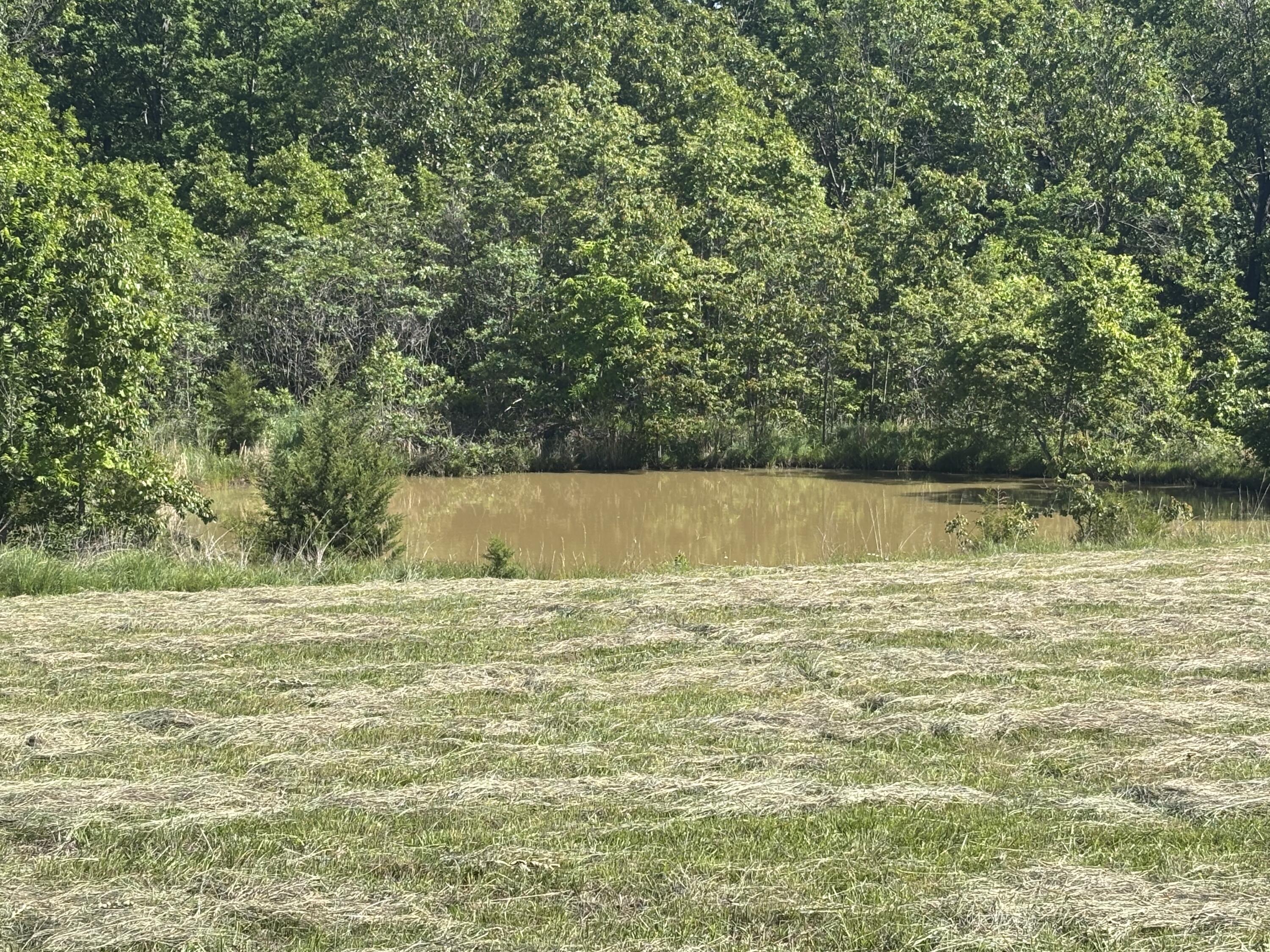 85 Horse Gate Trail Property Photo 30