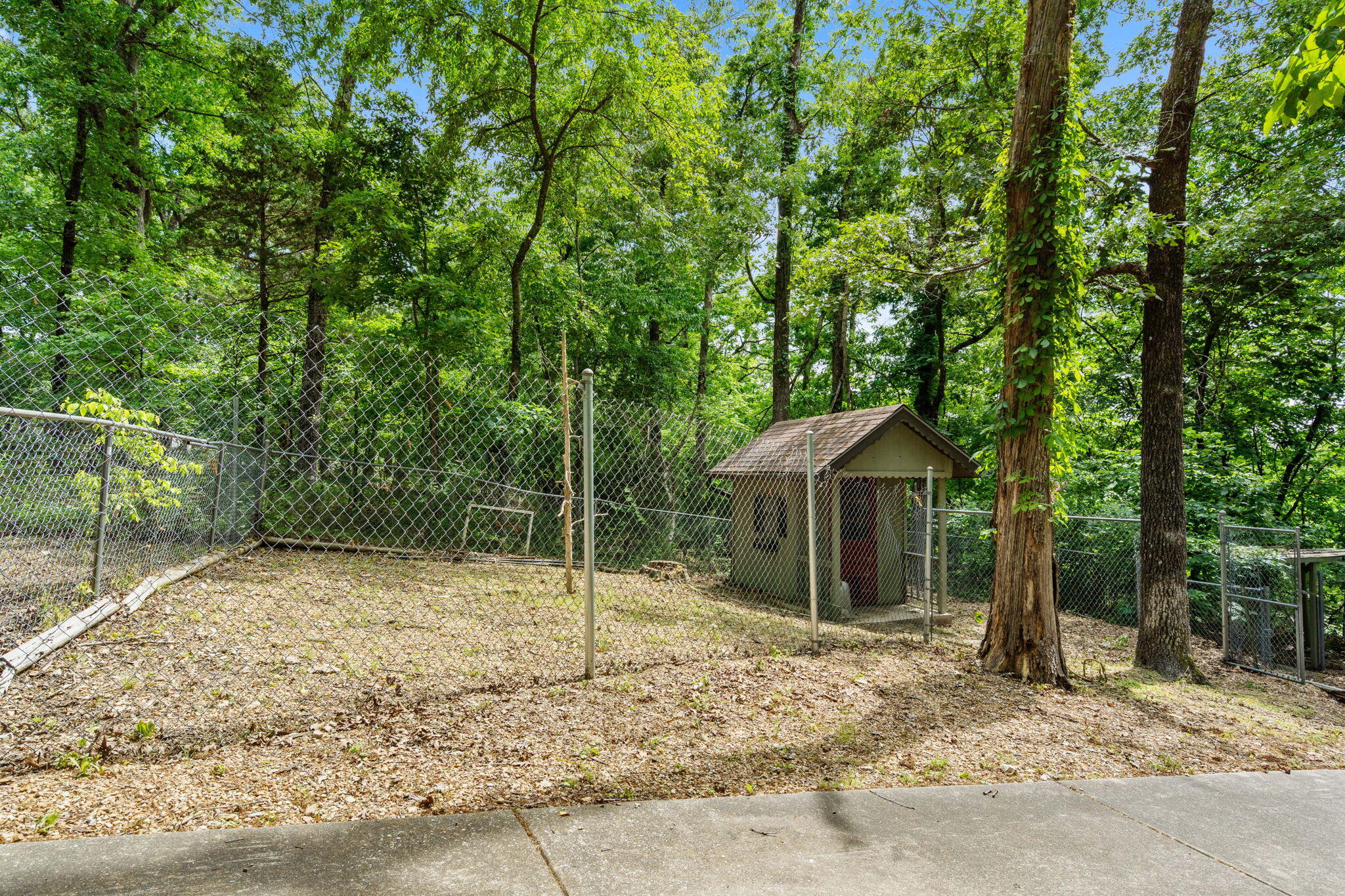 112 Bobcat Court Property Photo 11