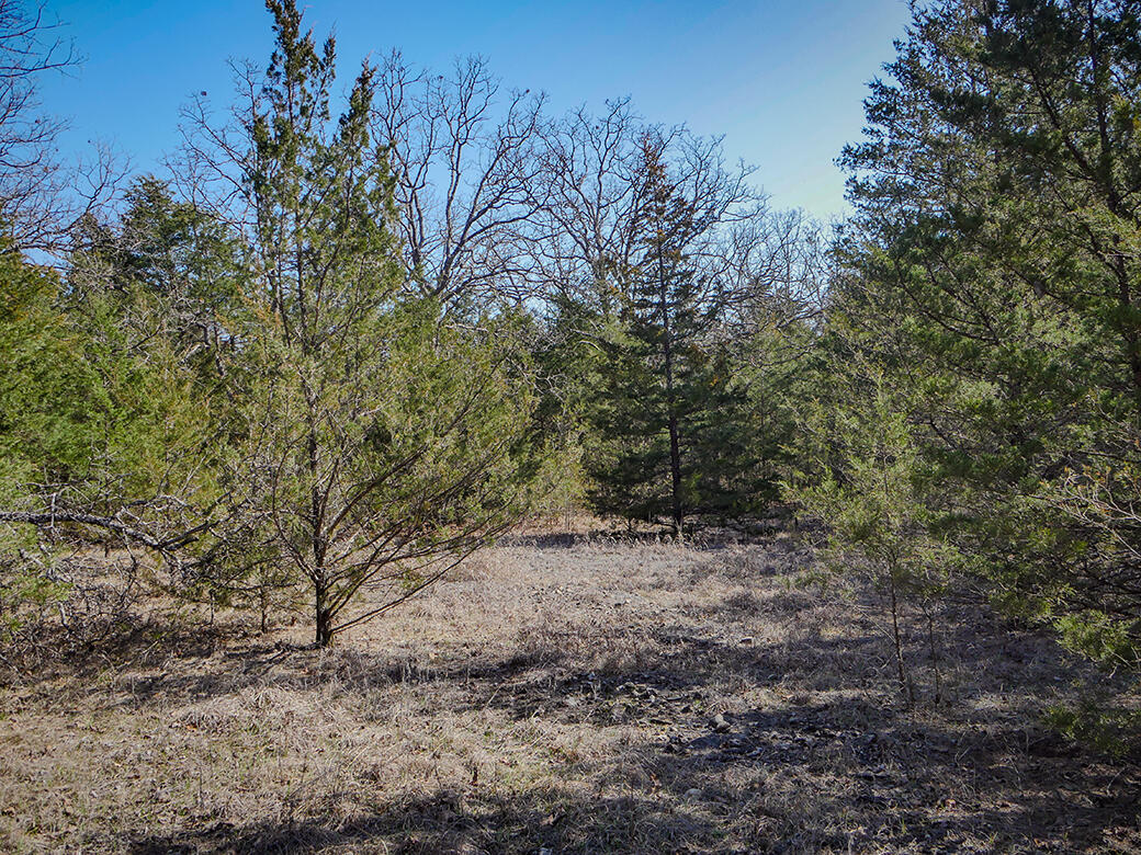 000 Simpson Road Property Photo 6