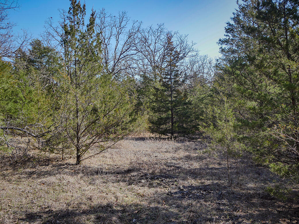 000 Simpson Road Property Photo 7