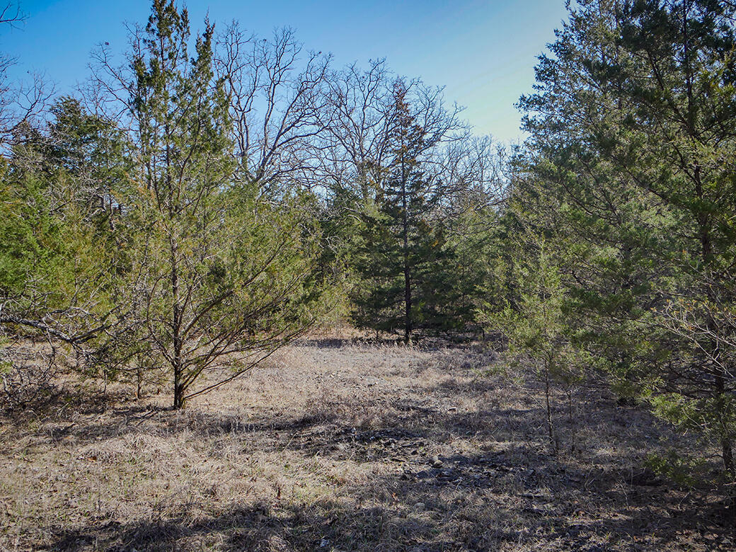 000 Simpson Road Property Photo 8
