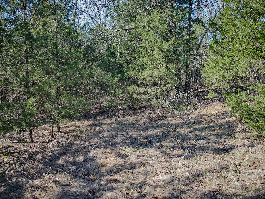 000 Simpson Road Property Photo 10