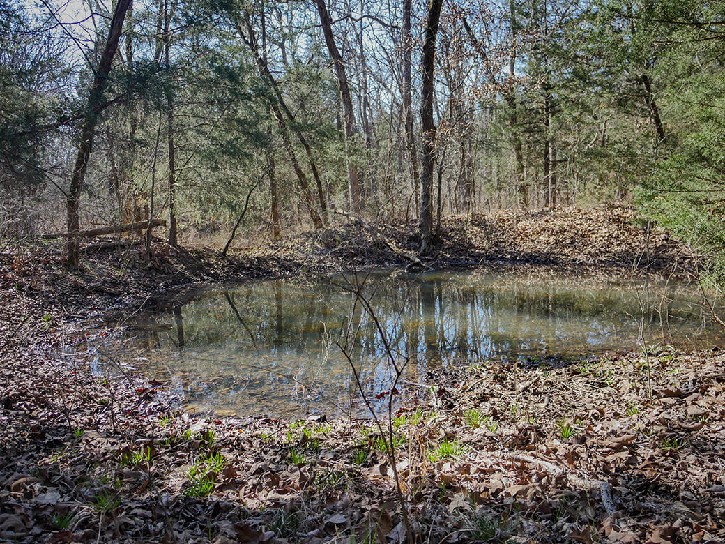 000 Simpson Road Property Photo 11