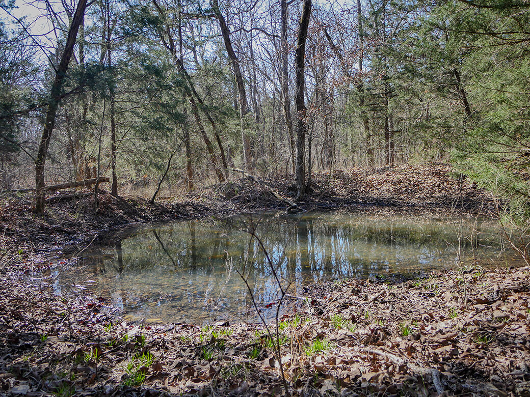 000 Simpson Road Property Photo 15