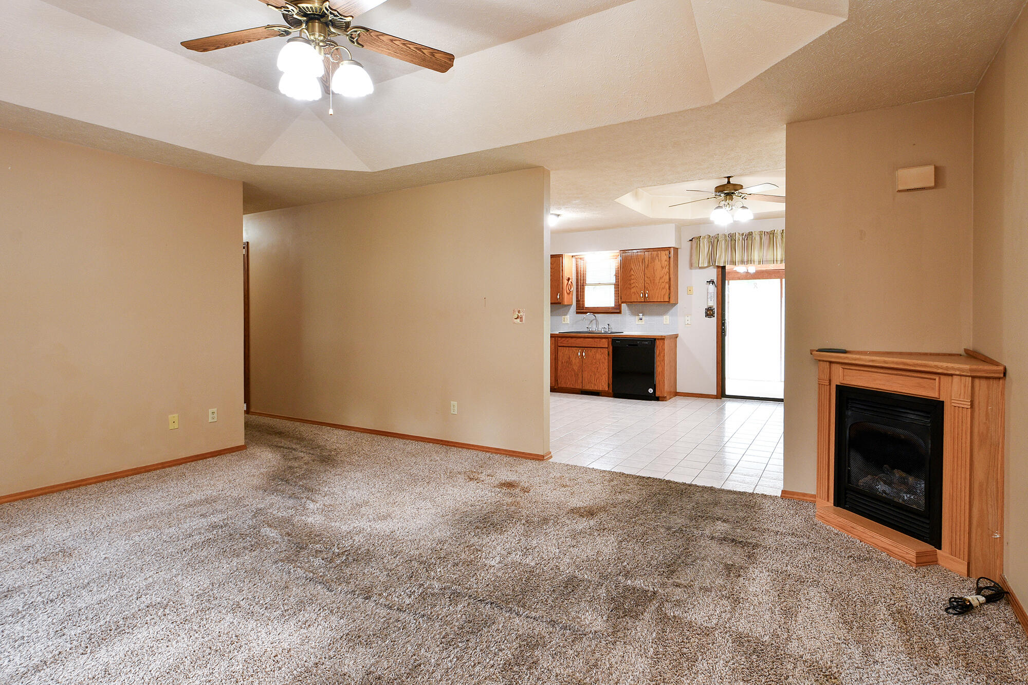 1194 State Highway Dd Property Photo 13