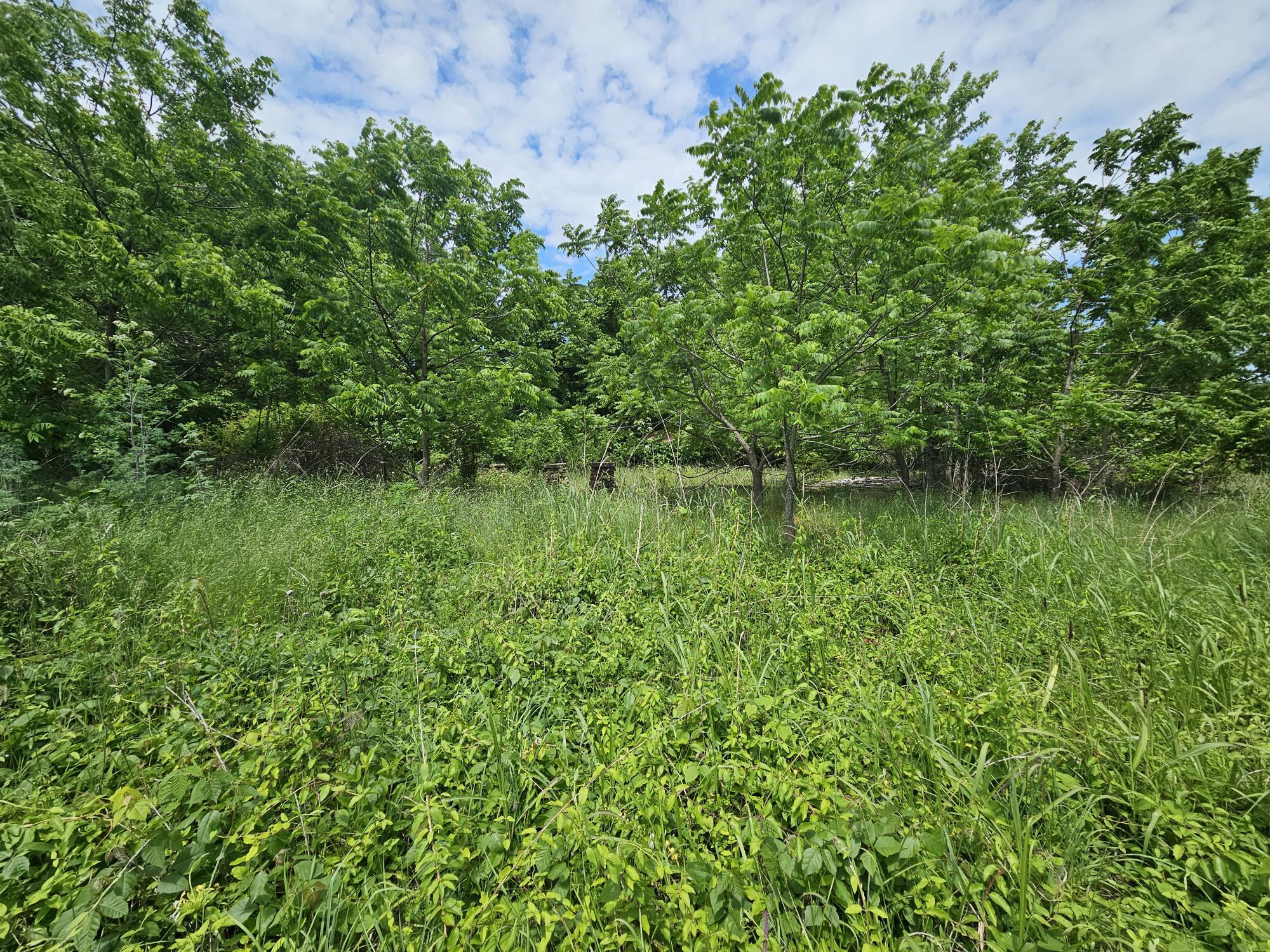000 State Highway K Property Photo 1