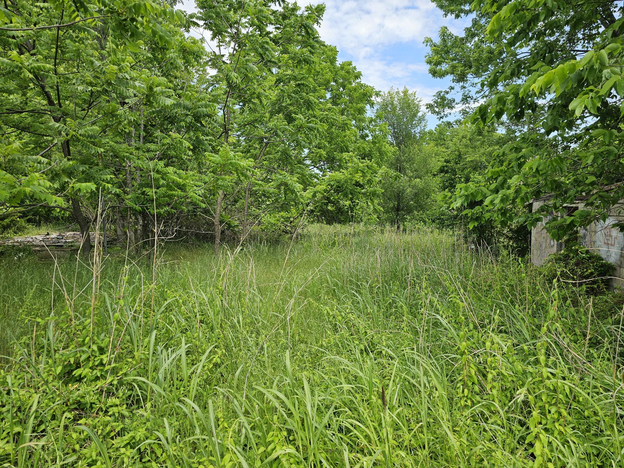 000 State Highway K Property Photo 4