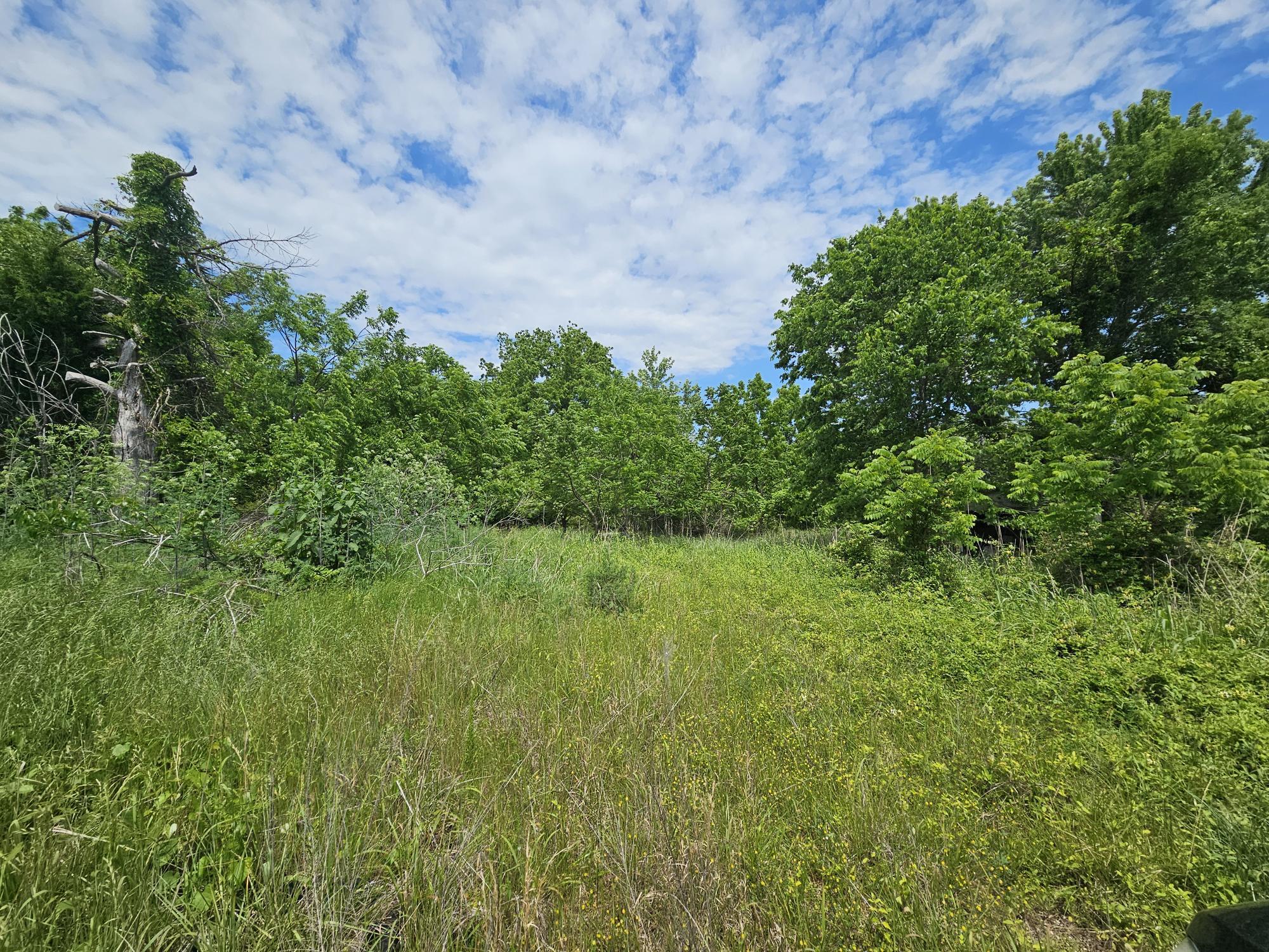 000 State Highway K Property Photo 5