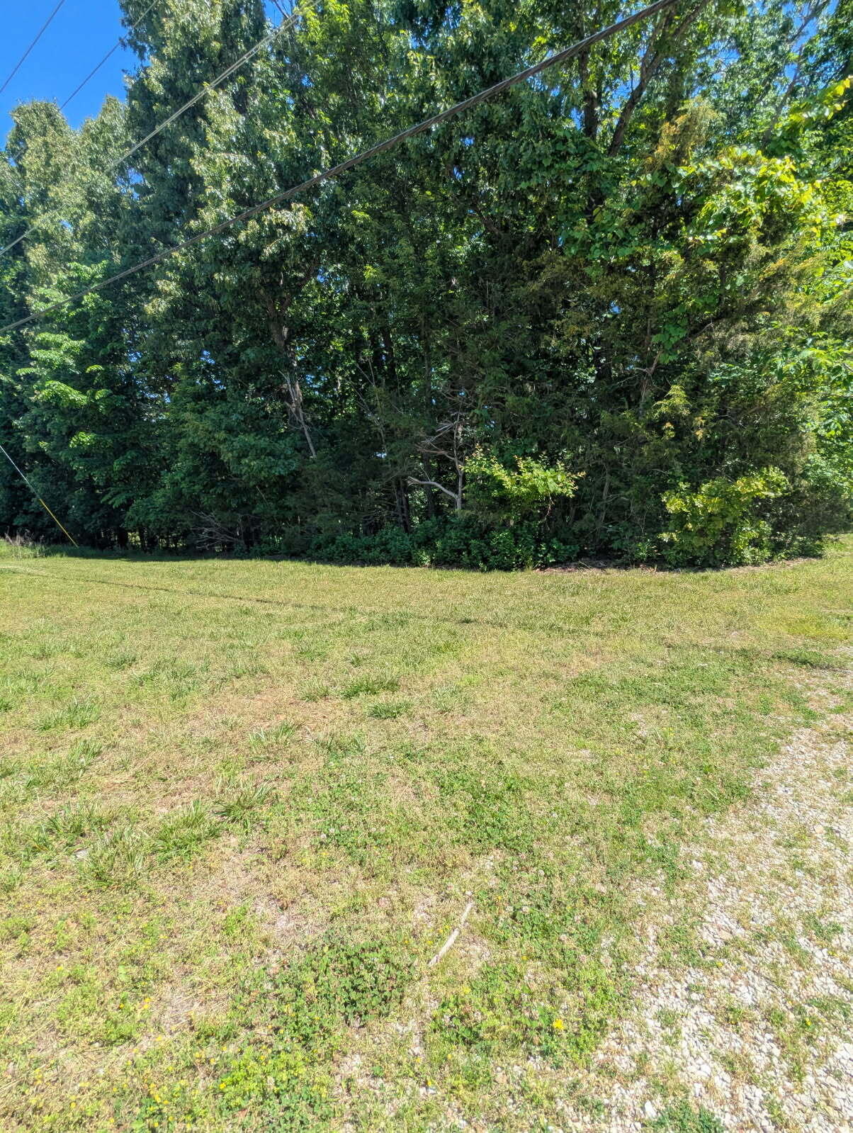 000 Fine Drive Property Photo 5