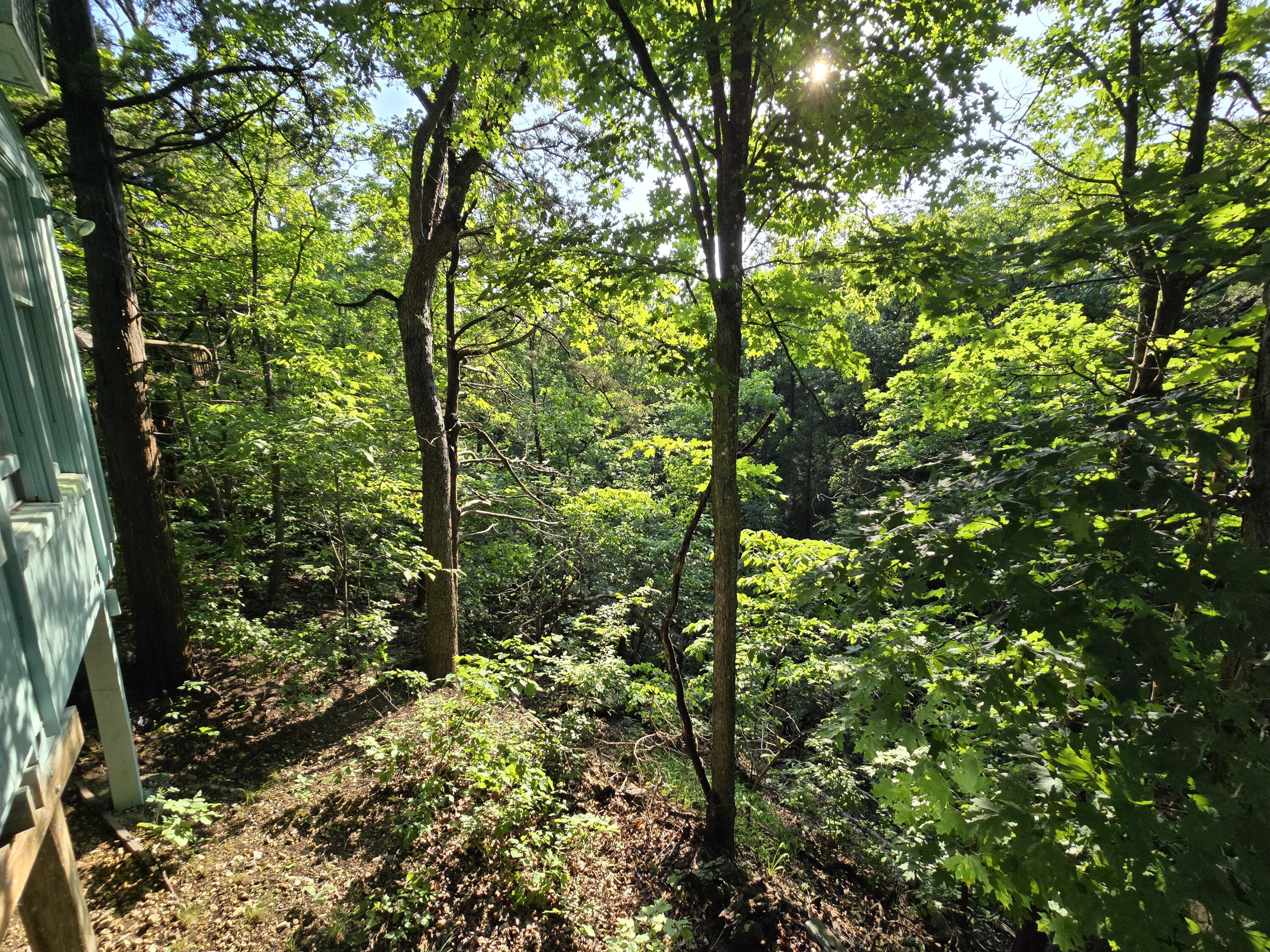22674 Forest Lane Property Photo 49
