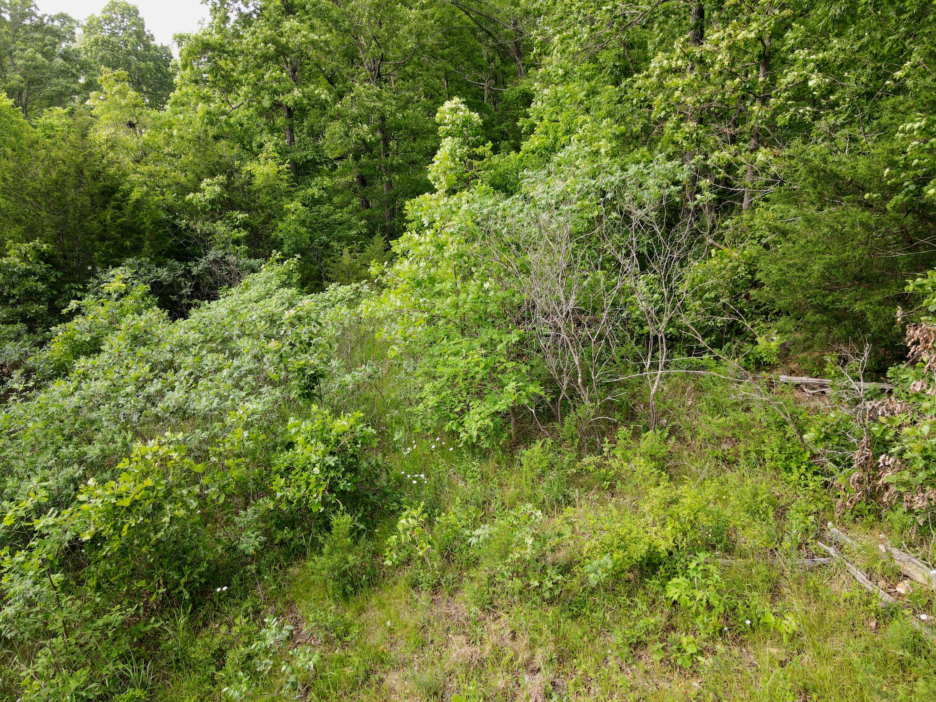 000 State Road Ff Property Photo 10