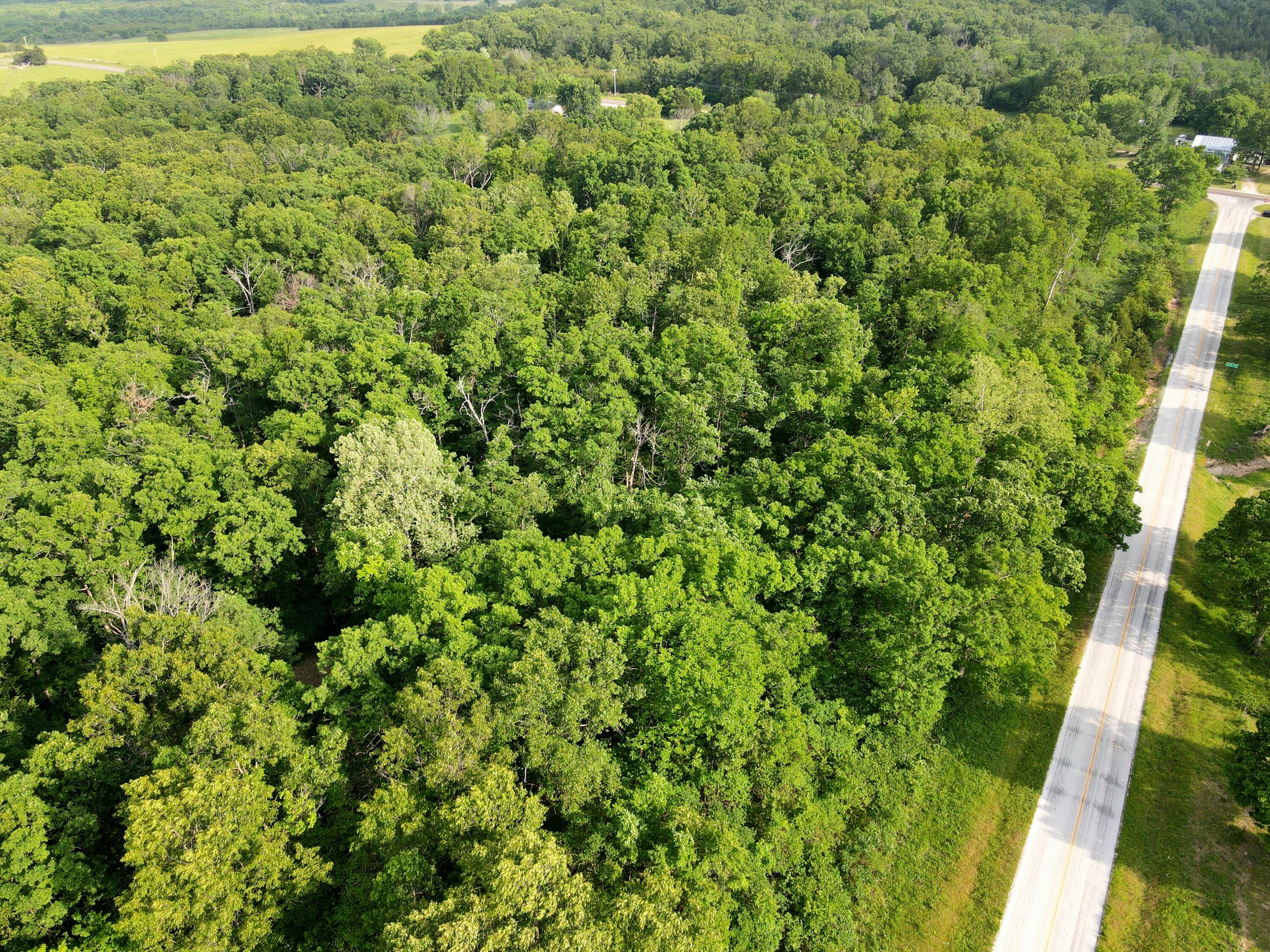 000 State Road Ff Property Photo 17